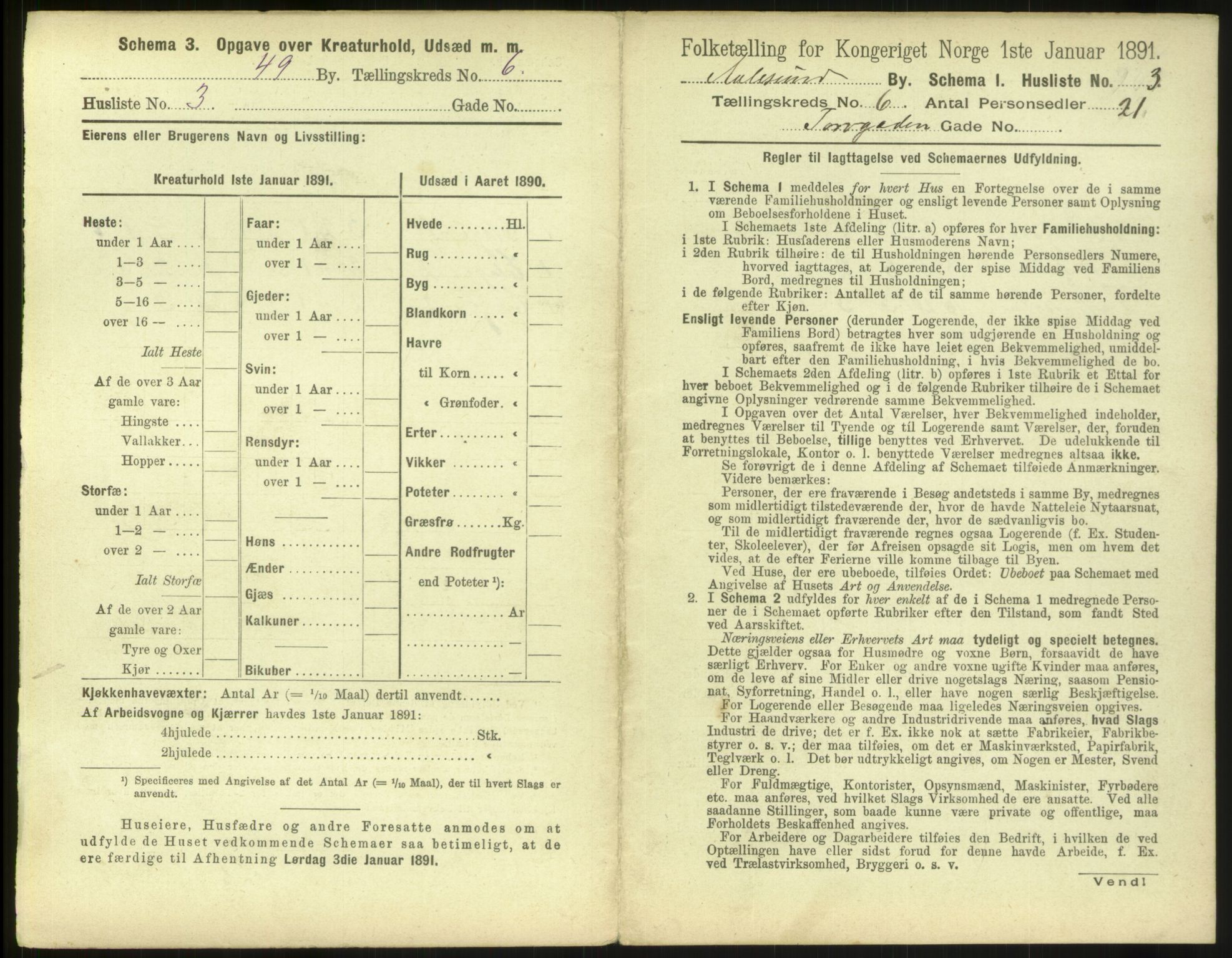 RA, Folketelling 1891 for 1501 Ålesund kjøpstad, 1891, s. 466