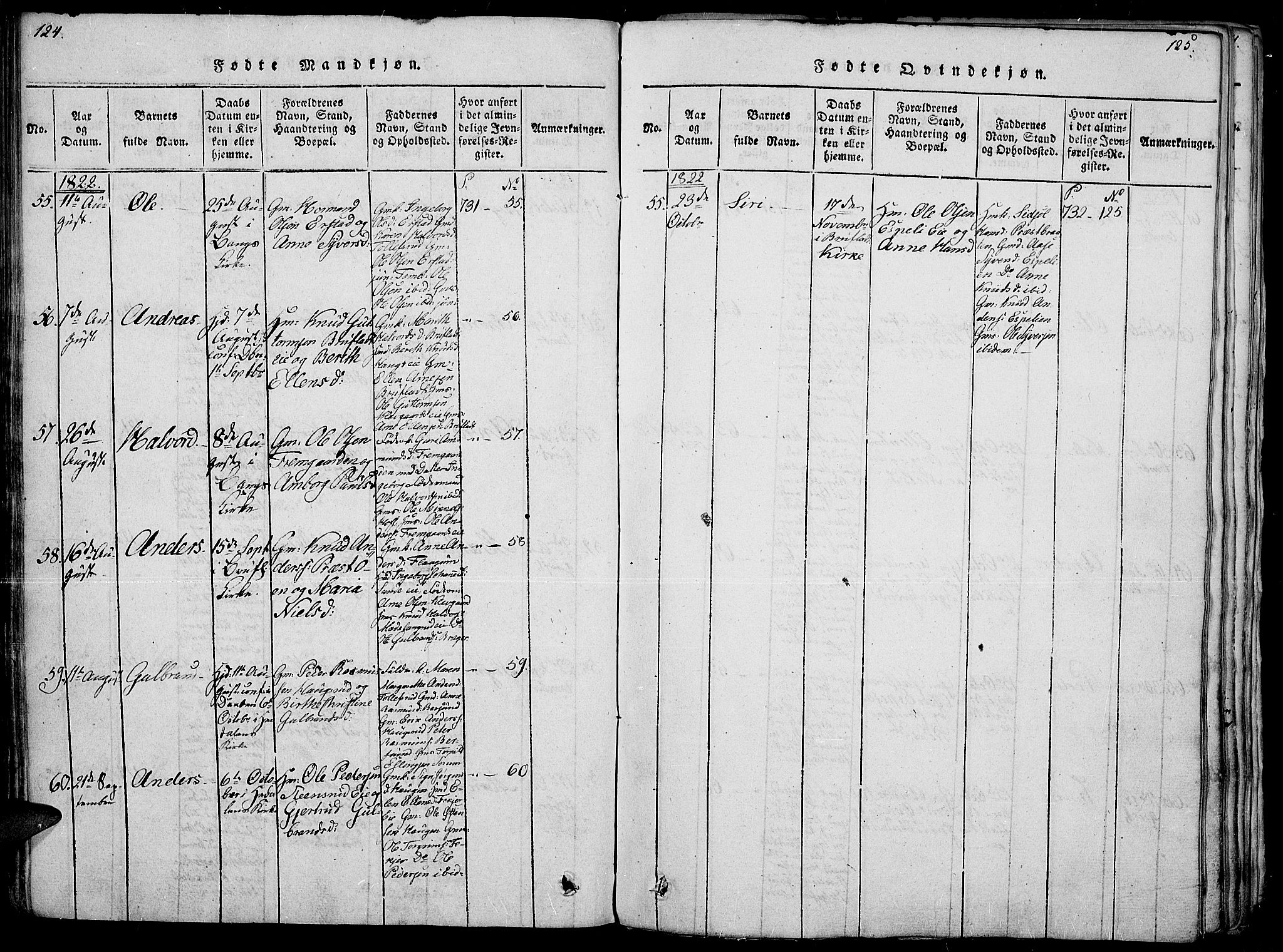 Sør-Aurdal prestekontor, SAH/PREST-128/H/Ha/Haa/L0002: Ministerialbok nr. 2, 1815-1840, s. 124-125