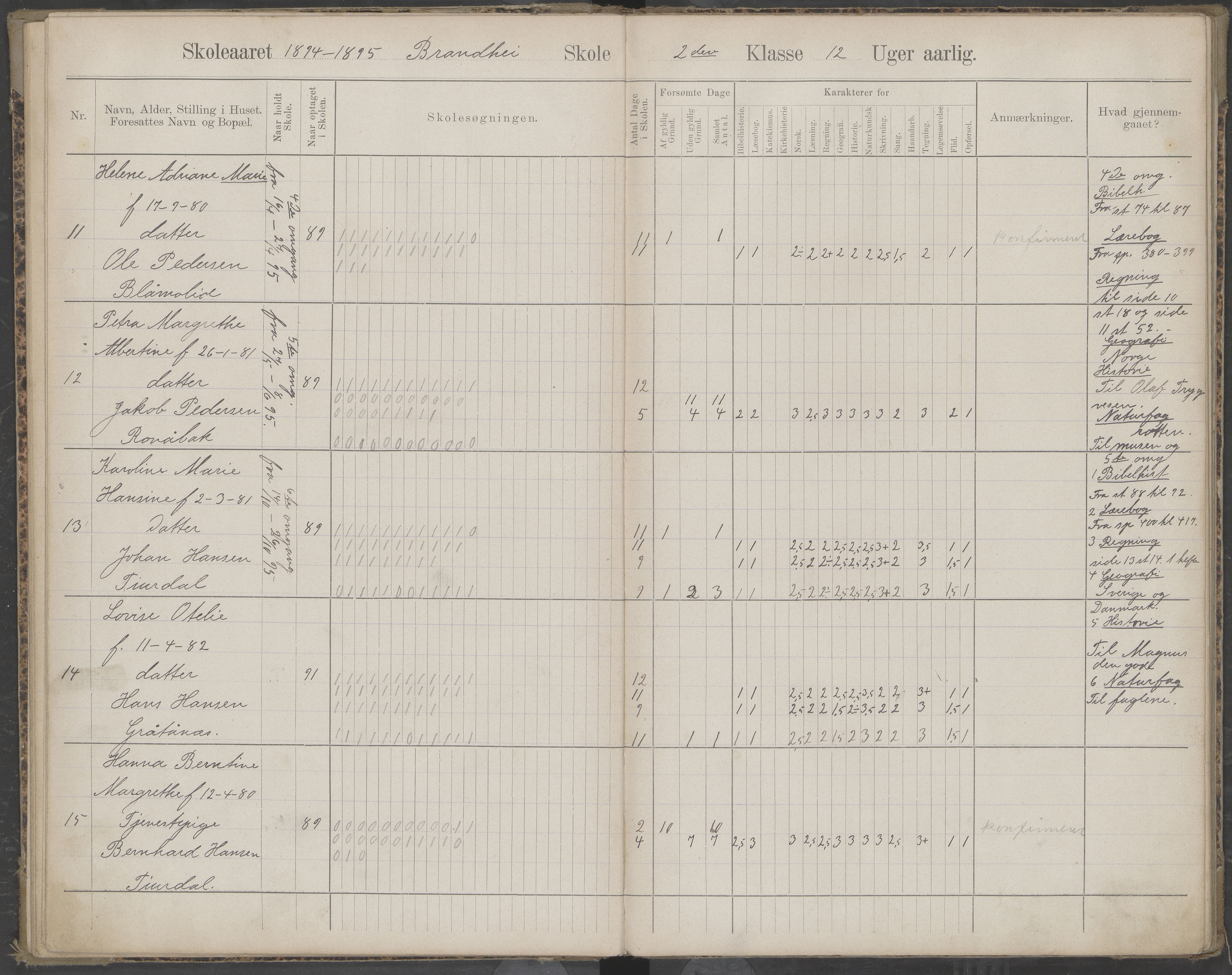 Beiarn kommune. Brandhei skolekrets, AIN/K-18390.510.03/442/L0003: Karakter/oversiktsprotokoll, 1893-1910