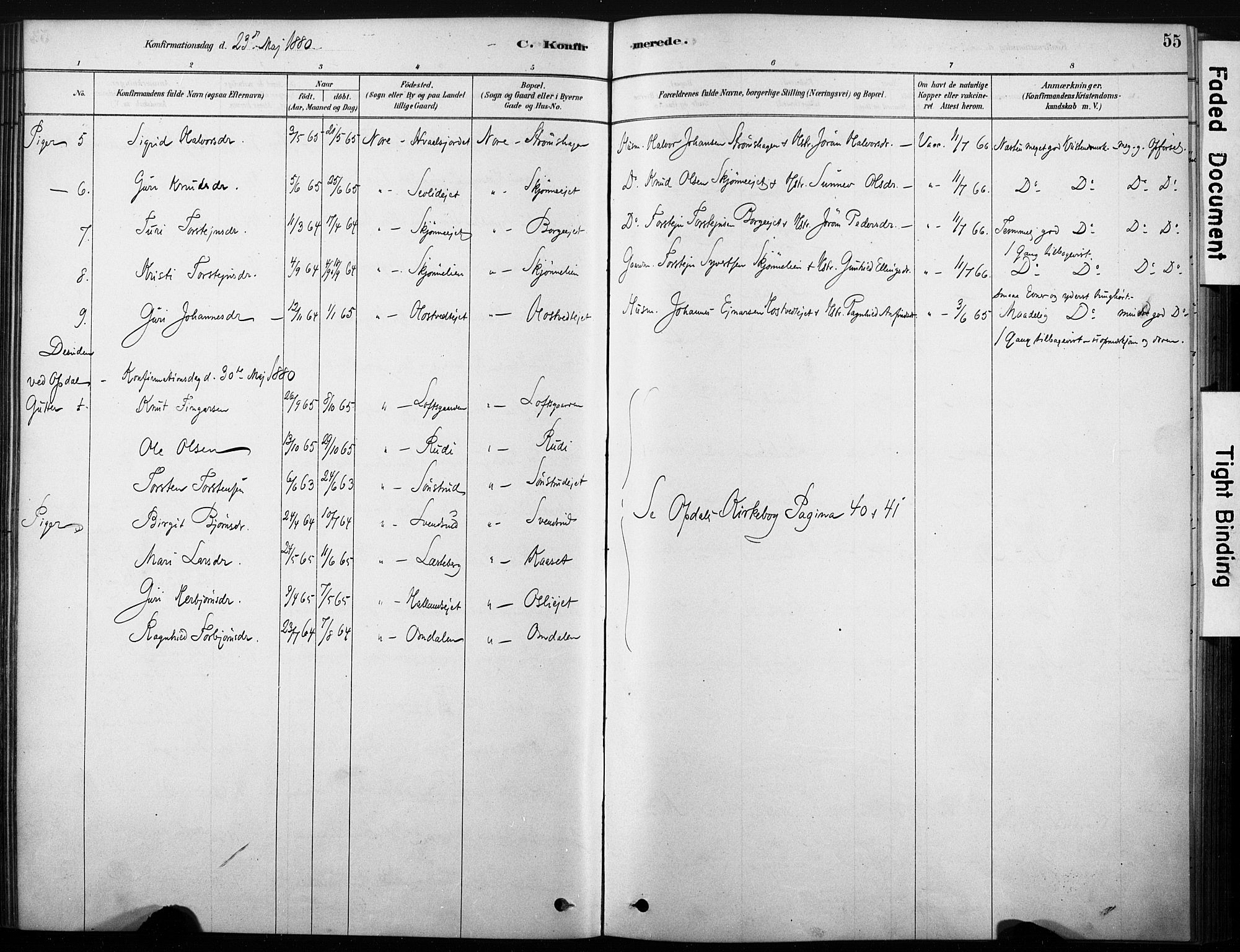 Nore kirkebøker, AV/SAKO-A-238/F/Fb/L0001: Ministerialbok nr. II 1, 1878-1886, s. 55