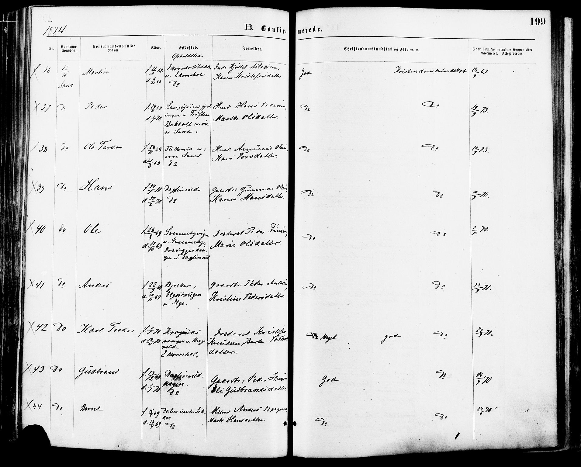 Nord-Odal prestekontor, AV/SAH-PREST-032/H/Ha/Haa/L0005: Ministerialbok nr. 5, 1874-1885, s. 199