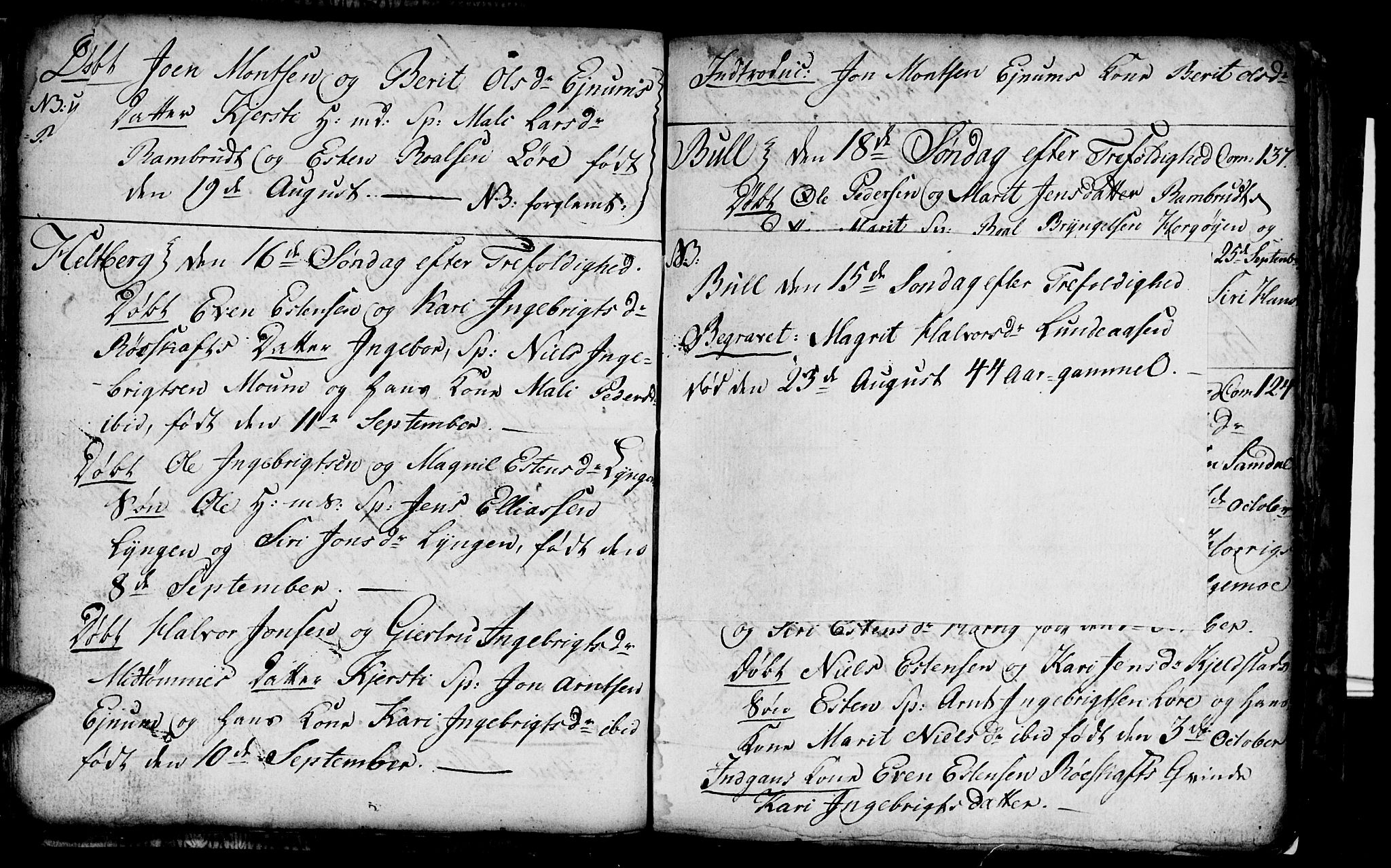 Ministerialprotokoller, klokkerbøker og fødselsregistre - Sør-Trøndelag, AV/SAT-A-1456/692/L1107: Klokkerbok nr. 692C02, 1809-1824