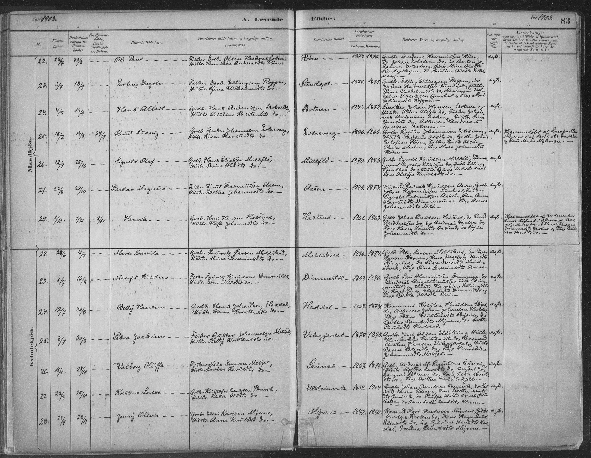 Ministerialprotokoller, klokkerbøker og fødselsregistre - Møre og Romsdal, AV/SAT-A-1454/509/L0106: Ministerialbok nr. 509A04, 1883-1922, s. 83