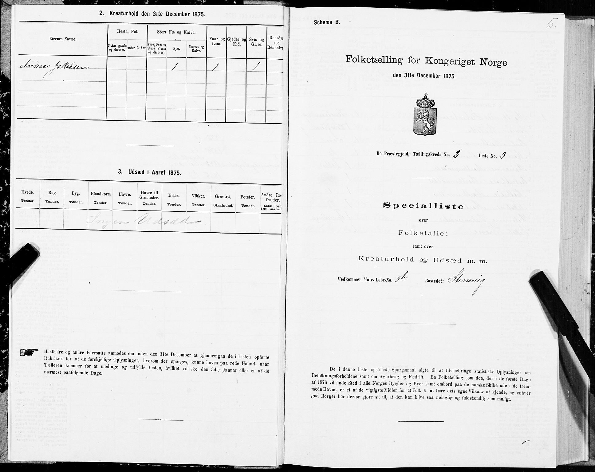 SAT, Folketelling 1875 for 1867P Bø prestegjeld, 1875, s. 2005