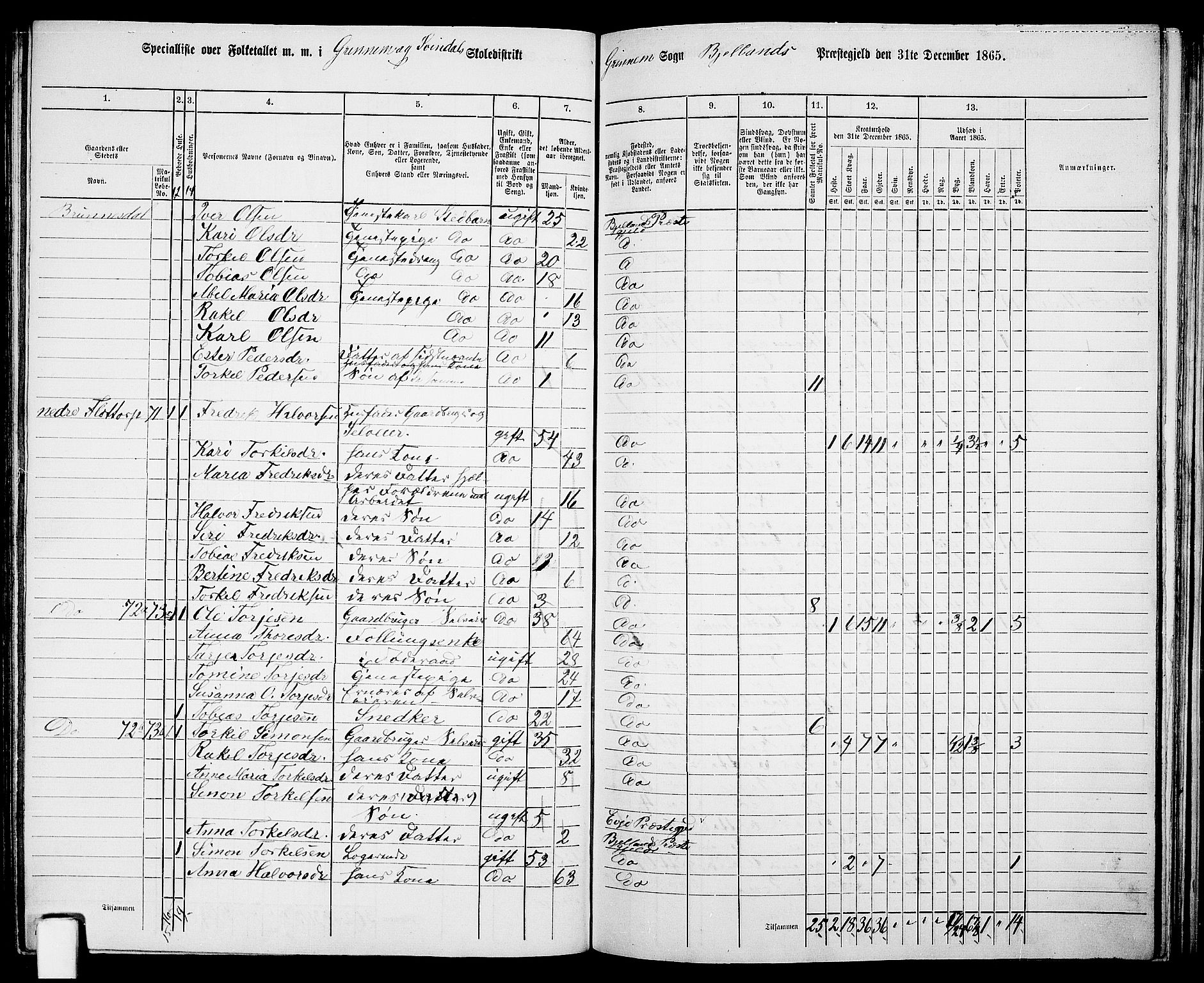 RA, Folketelling 1865 for 1024P Bjelland prestegjeld, 1865, s. 63