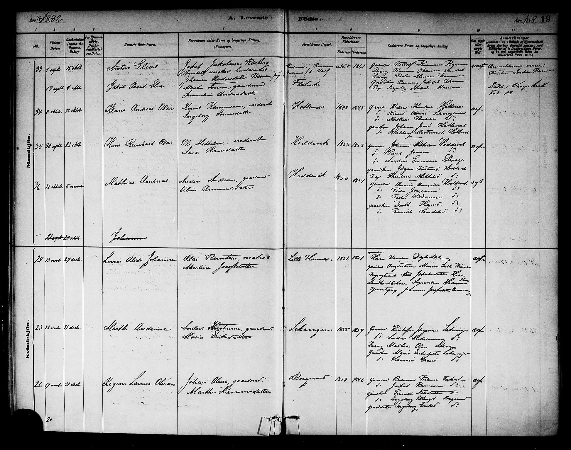 Selje sokneprestembete, AV/SAB-A-99938/H/Ha/Haa/Haab: Ministerialbok nr. B 1, 1881-1890, s. 19