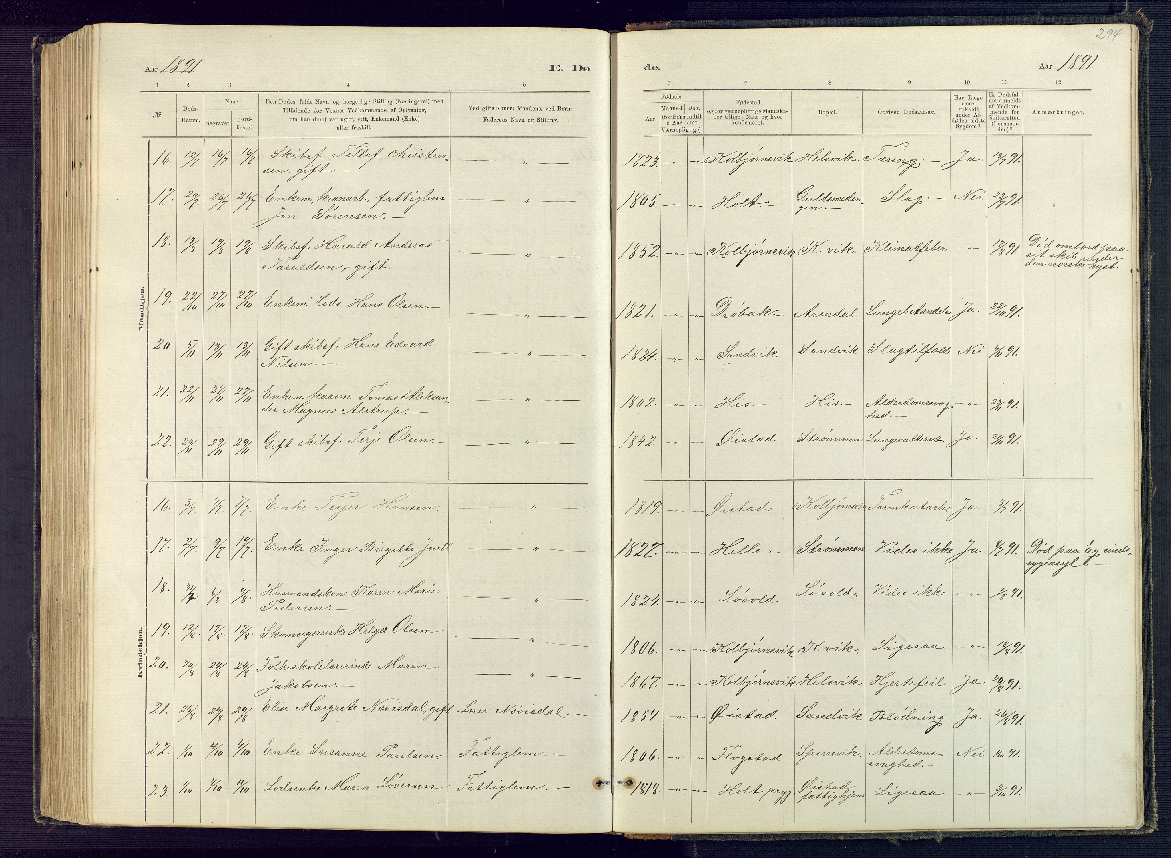Hisøy sokneprestkontor, AV/SAK-1111-0020/F/Fb/L0003: Klokkerbok nr. B 3, 1885-1905, s. 294