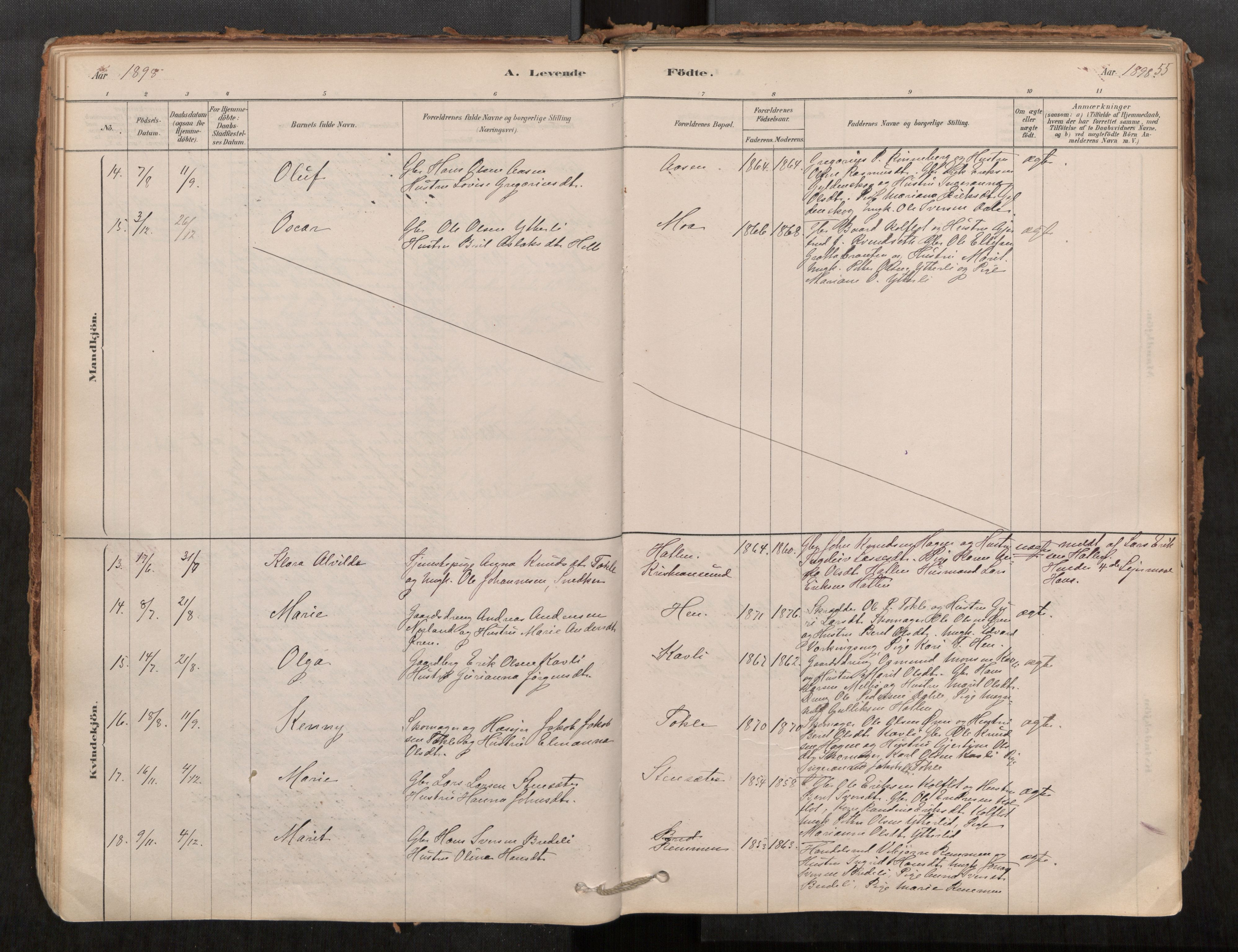 Ministerialprotokoller, klokkerbøker og fødselsregistre - Møre og Romsdal, AV/SAT-A-1454/545/L0594: Ministerialbok nr. 545A03, 1878-1920, s. 55