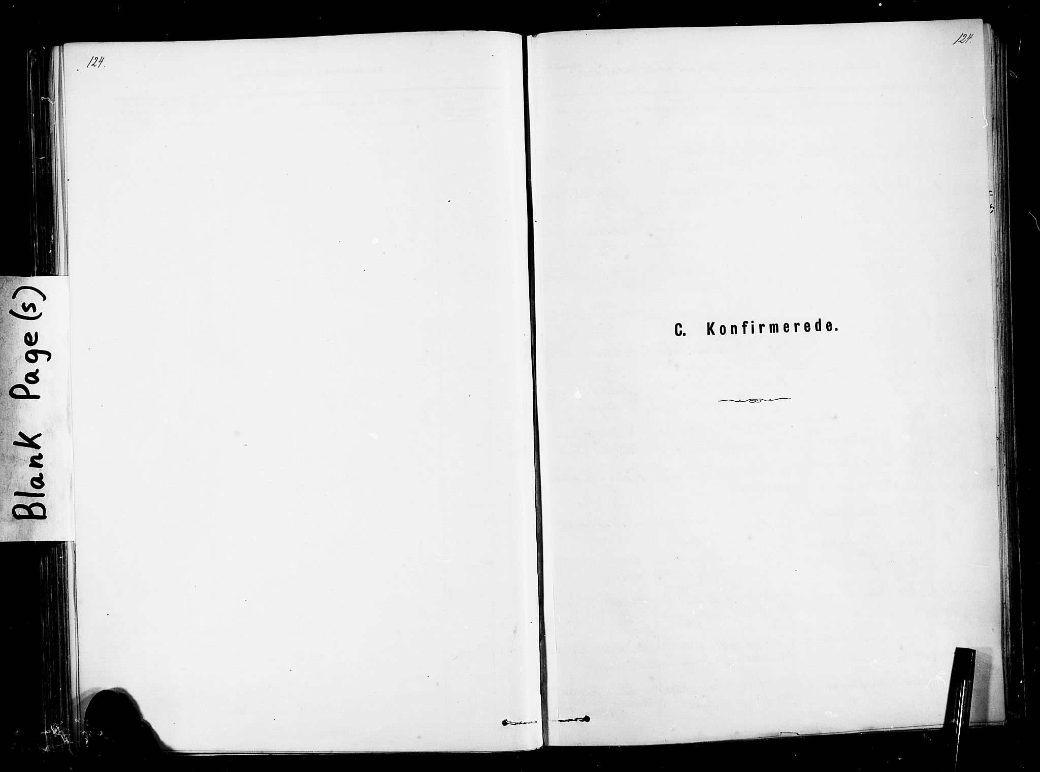 Ministerialprotokoller, klokkerbøker og fødselsregistre - Møre og Romsdal, SAT/A-1454/567/L0778: Ministerialbok nr. 567A01, 1881-1903, s. 124
