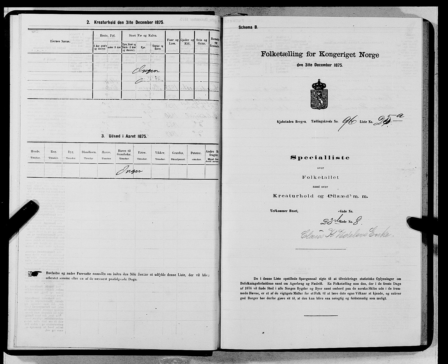 SAB, Folketelling 1875 for 1301 Bergen kjøpstad, 1875, s. 5217