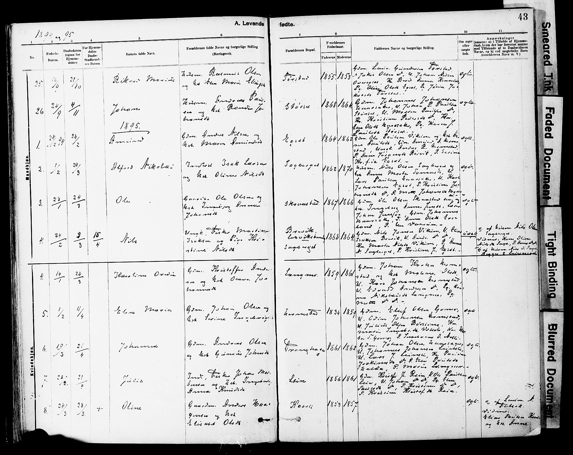 Ministerialprotokoller, klokkerbøker og fødselsregistre - Sør-Trøndelag, AV/SAT-A-1456/646/L0615: Ministerialbok nr. 646A13, 1885-1900, s. 43