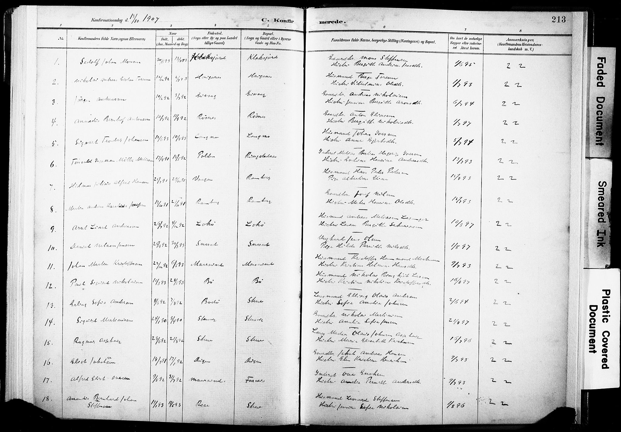 Ministerialprotokoller, klokkerbøker og fødselsregistre - Nordland, AV/SAT-A-1459/891/L1304: Ministerialbok nr. 891A09, 1895-1921, s. 213