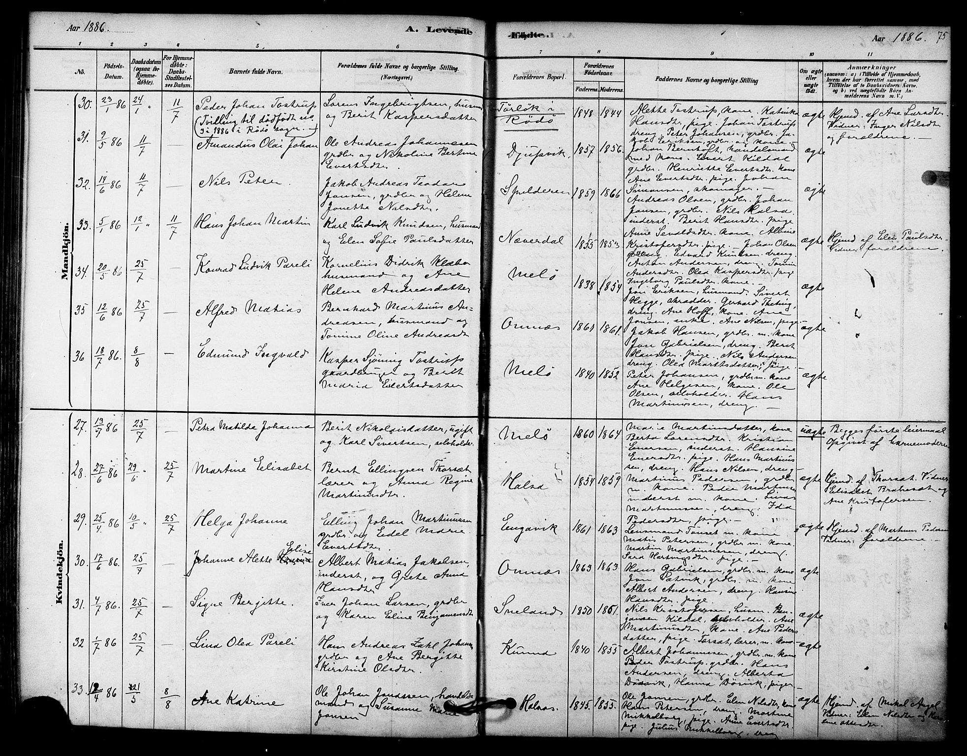 Ministerialprotokoller, klokkerbøker og fødselsregistre - Nordland, AV/SAT-A-1459/843/L0626: Ministerialbok nr. 843A01, 1878-1907, s. 75