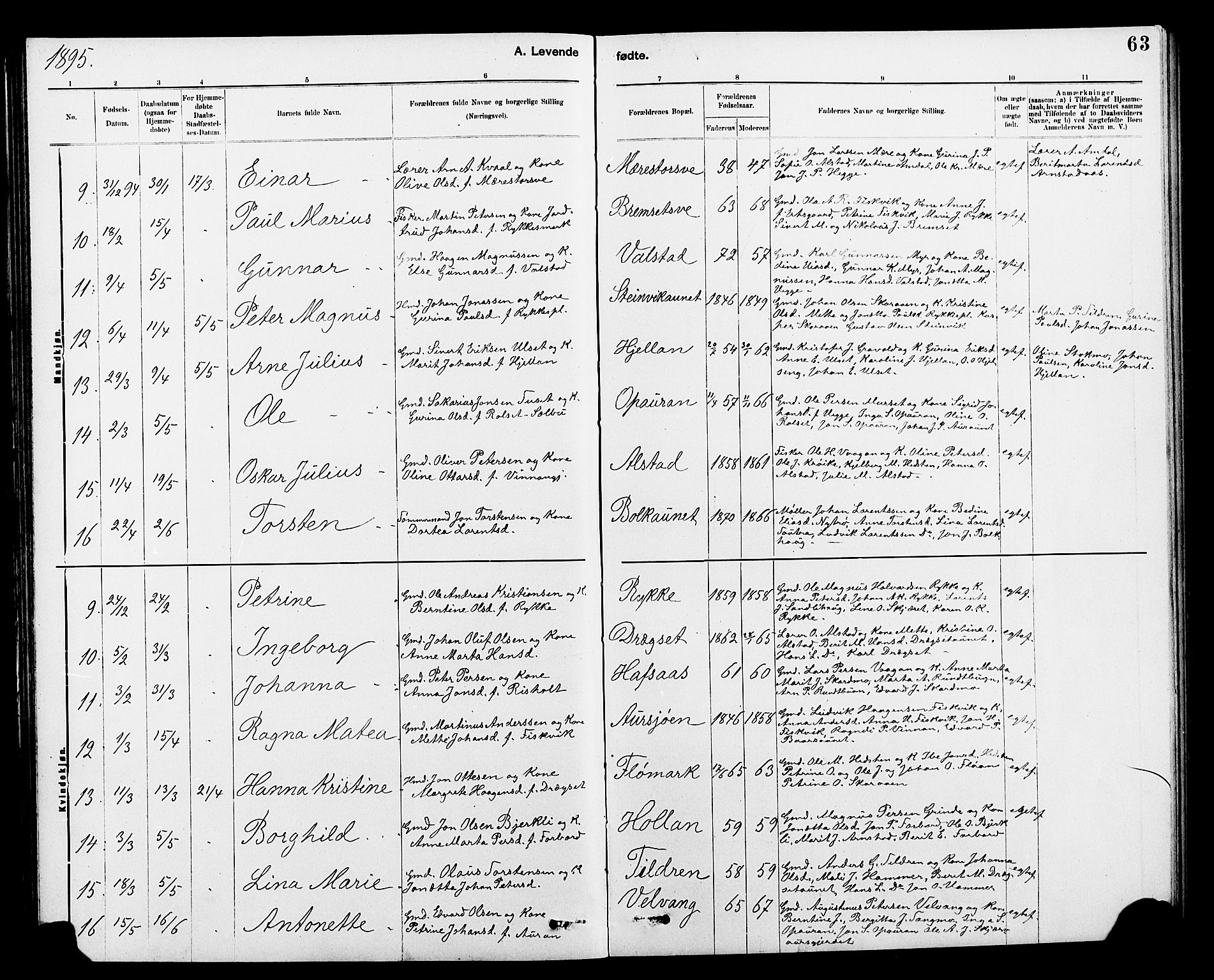 Ministerialprotokoller, klokkerbøker og fødselsregistre - Nord-Trøndelag, SAT/A-1458/712/L0103: Klokkerbok nr. 712C01, 1878-1917, s. 63
