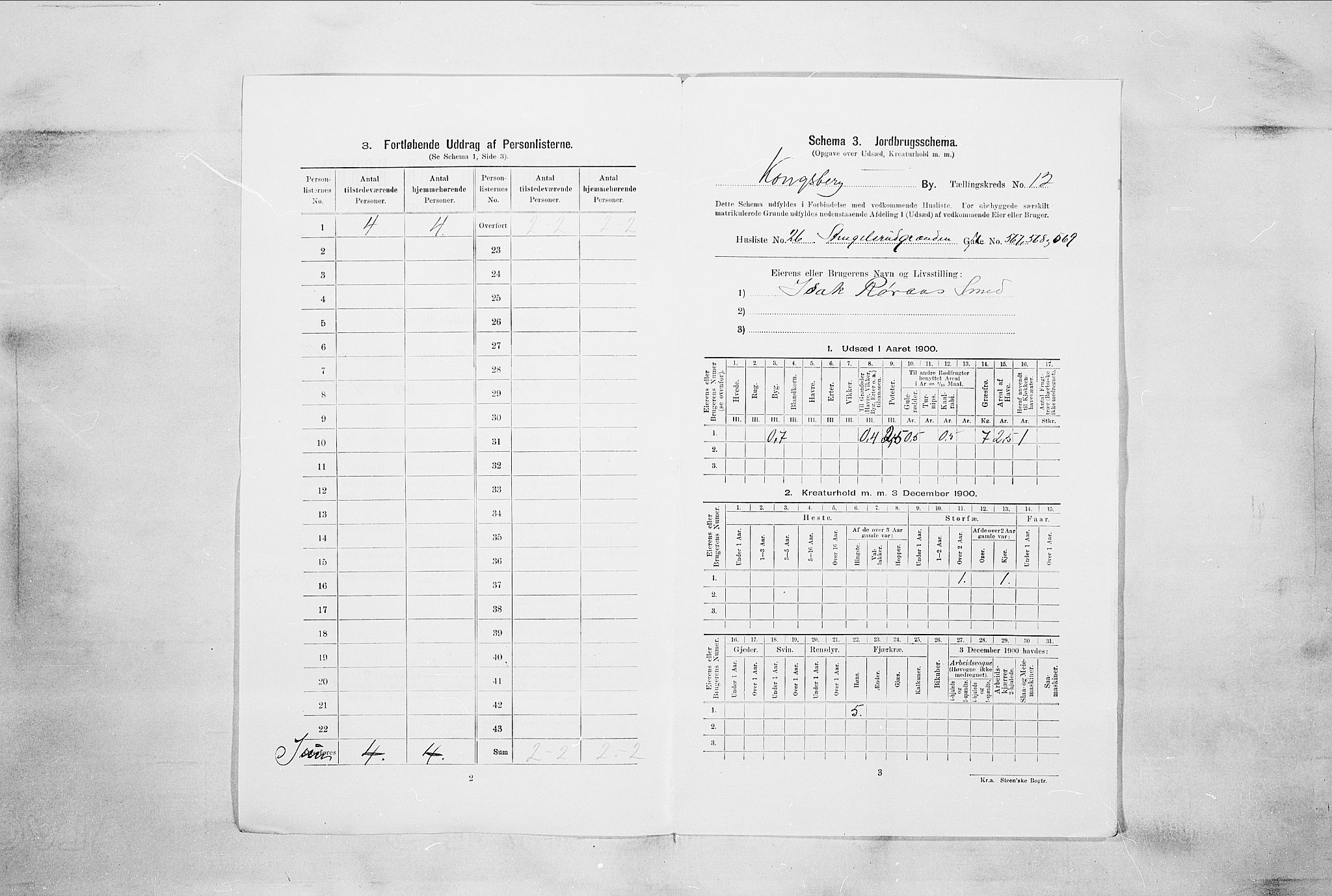 RA, Folketelling 1900 for 0604 Kongsberg kjøpstad, 1900, s. 2218