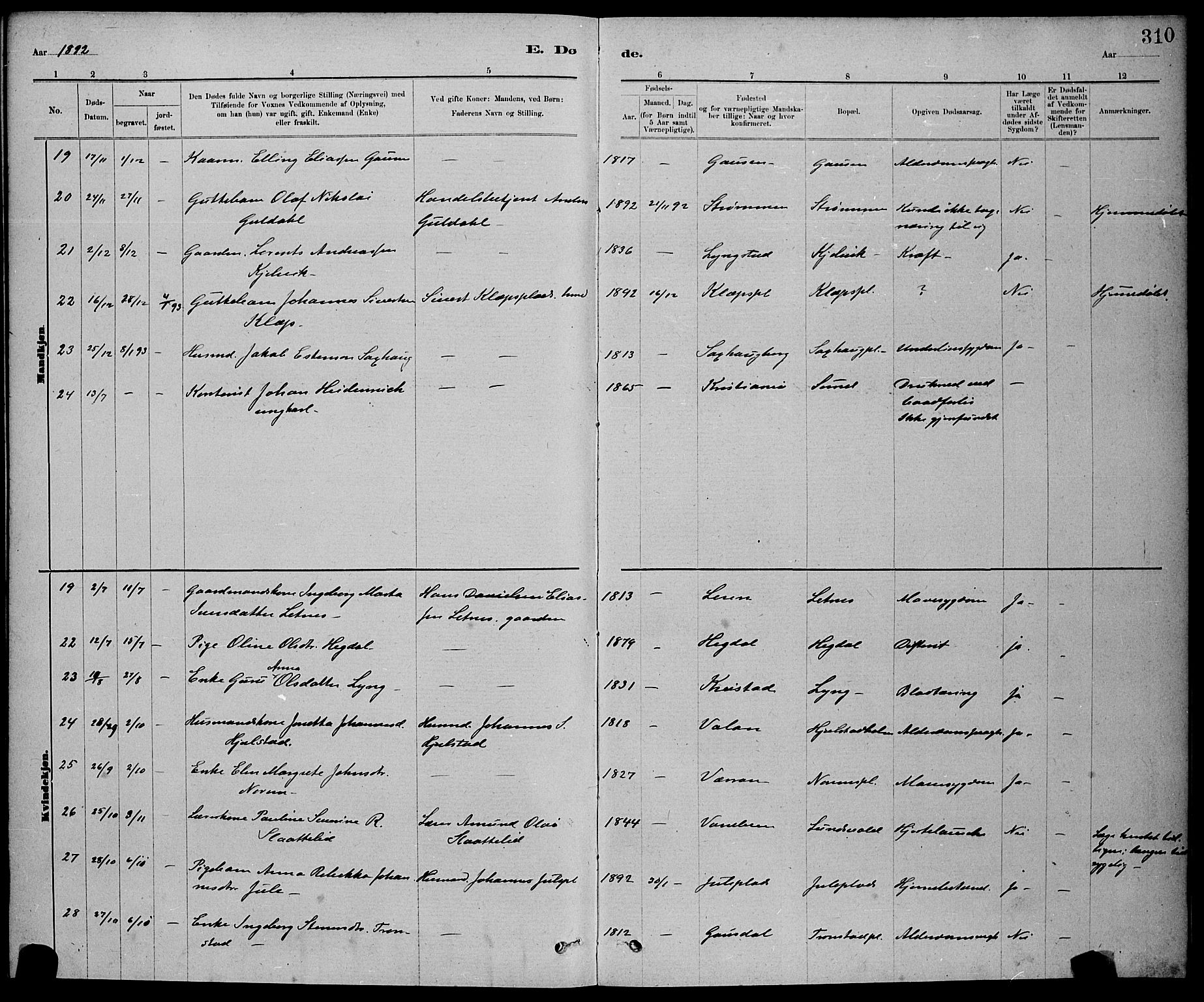 Ministerialprotokoller, klokkerbøker og fødselsregistre - Nord-Trøndelag, SAT/A-1458/730/L0301: Klokkerbok nr. 730C04, 1880-1897, s. 310