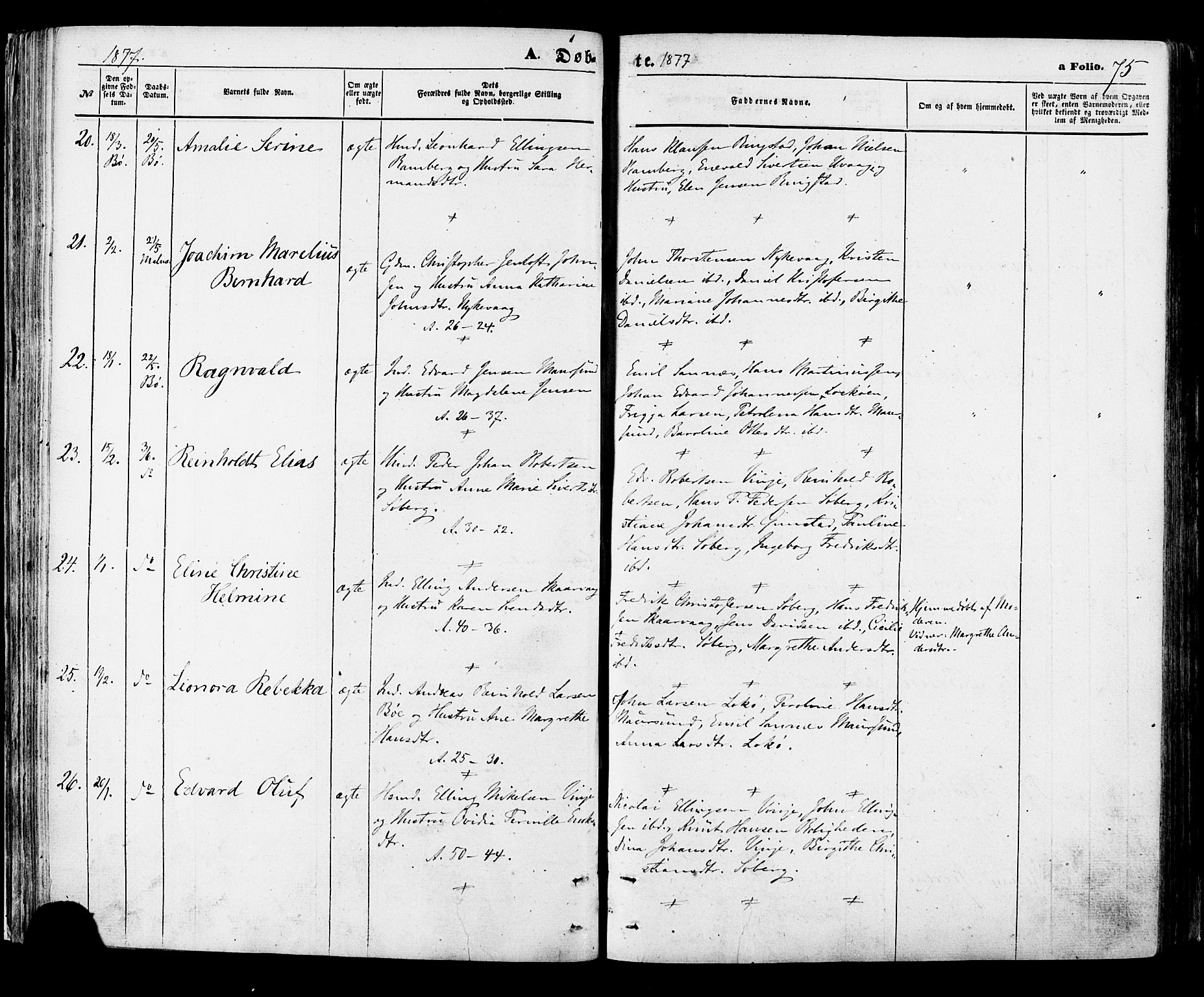 Ministerialprotokoller, klokkerbøker og fødselsregistre - Nordland, AV/SAT-A-1459/891/L1301: Ministerialbok nr. 891A06, 1870-1878, s. 75