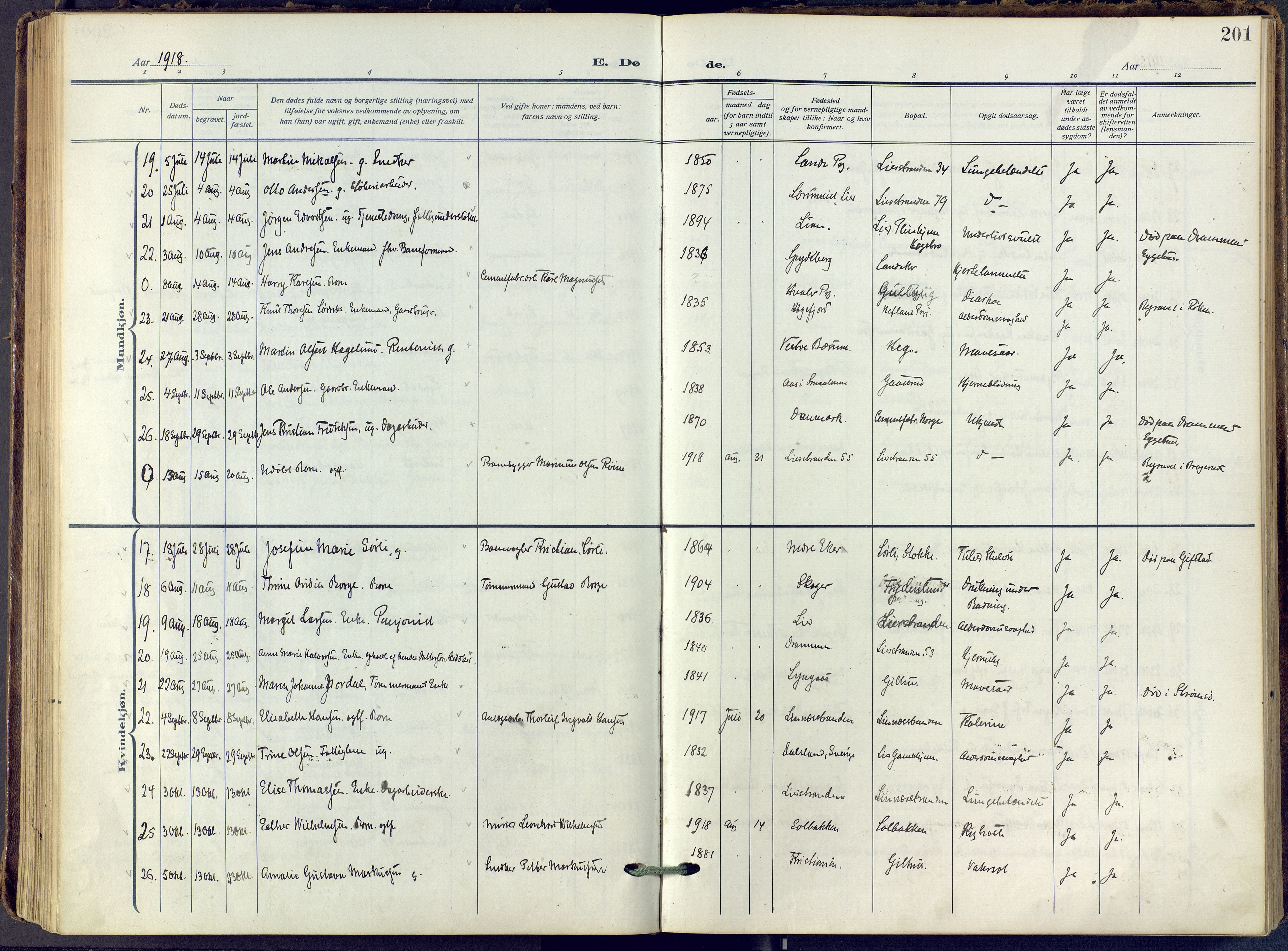 Lier kirkebøker, SAKO/A-230/F/Fa/L0019: Ministerialbok nr. I 19, 1918-1928, s. 201