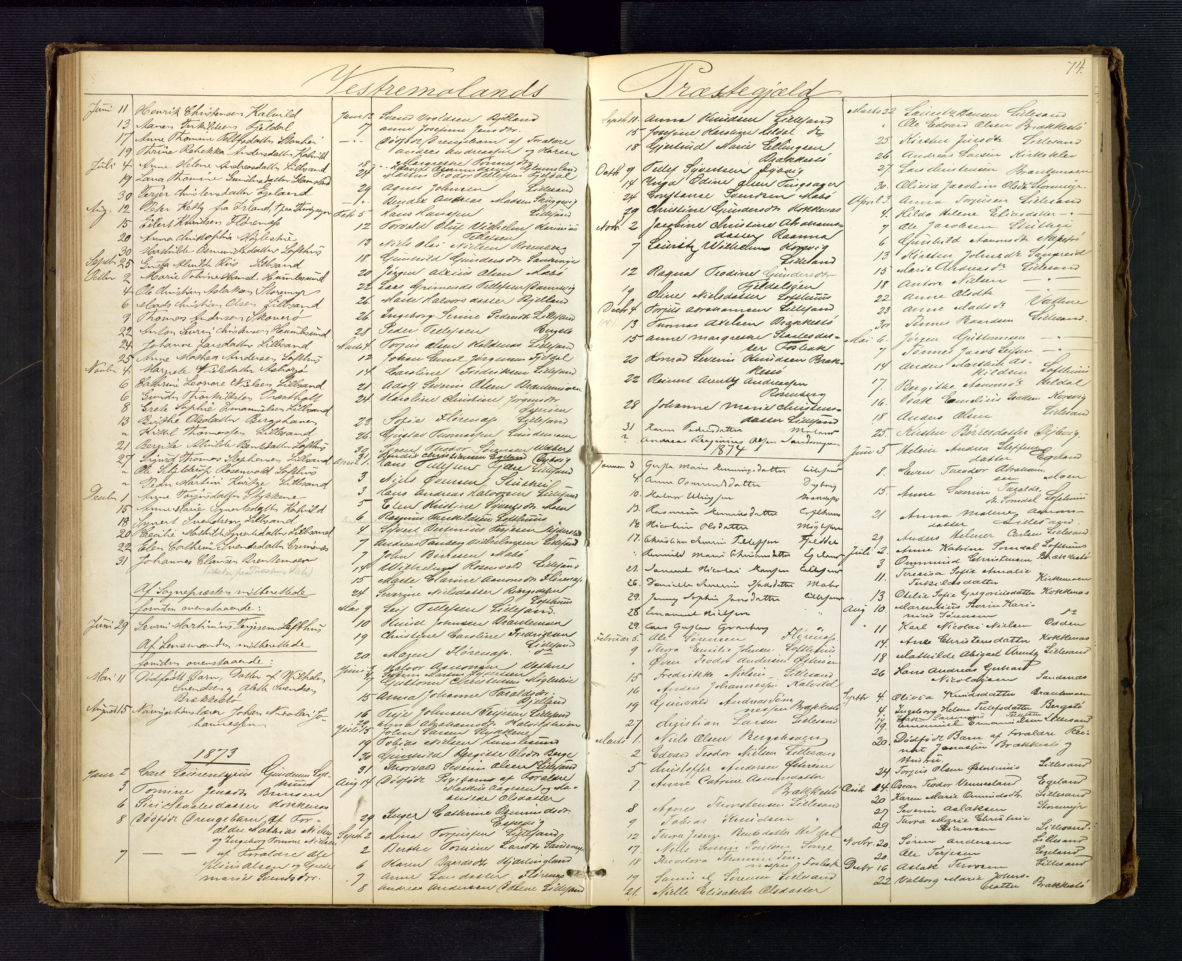 Vestre Nedenes/Sand sorenskriveri, AV/SAK-1221-0010/H/Ha/L0001: Dødsfallsliste, 1861-1918, s. 74