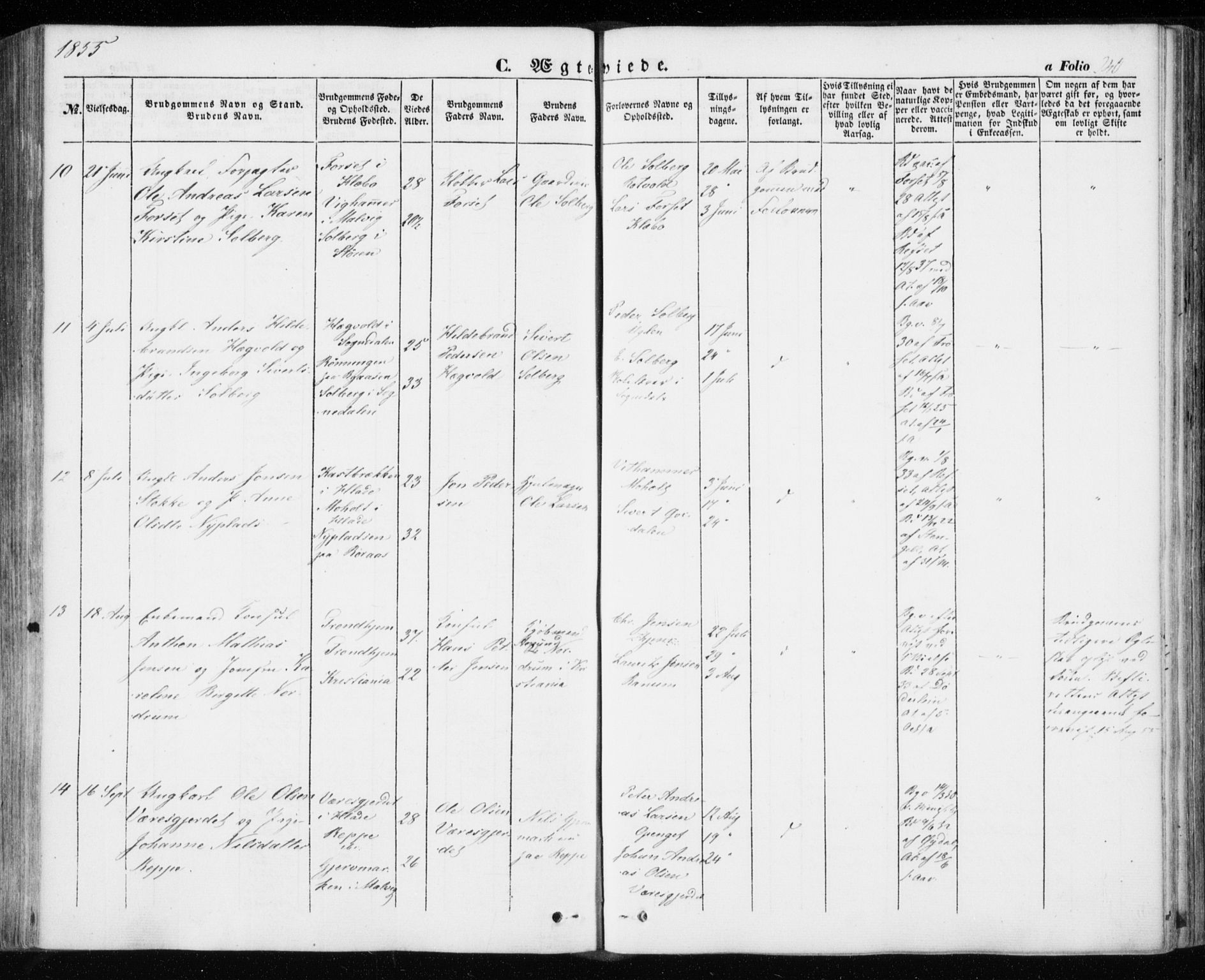 Ministerialprotokoller, klokkerbøker og fødselsregistre - Sør-Trøndelag, SAT/A-1456/606/L0291: Ministerialbok nr. 606A06, 1848-1856, s. 240