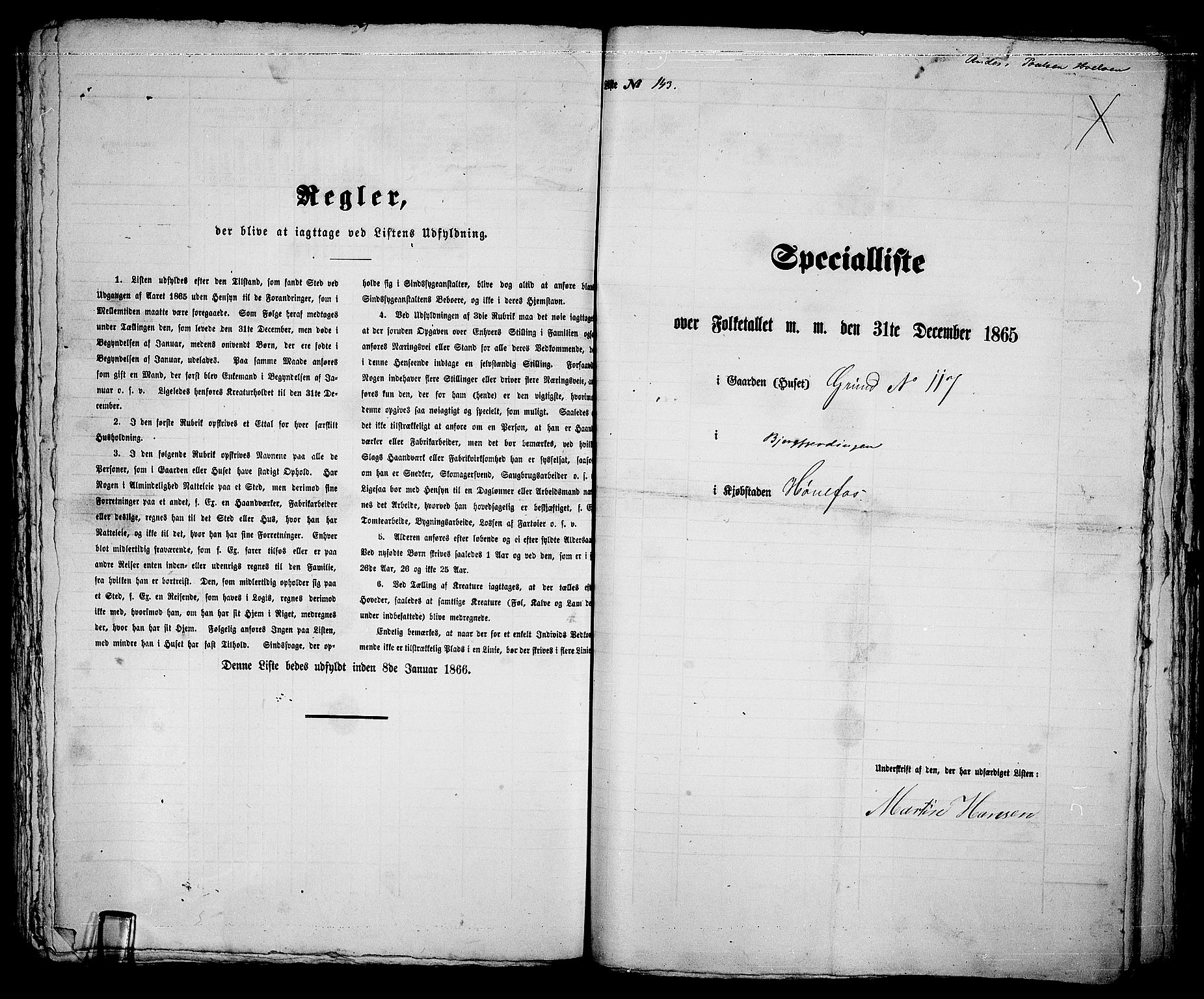 RA, Folketelling 1865 for 0601B Norderhov prestegjeld, Hønefoss kjøpstad, 1865, s. 272