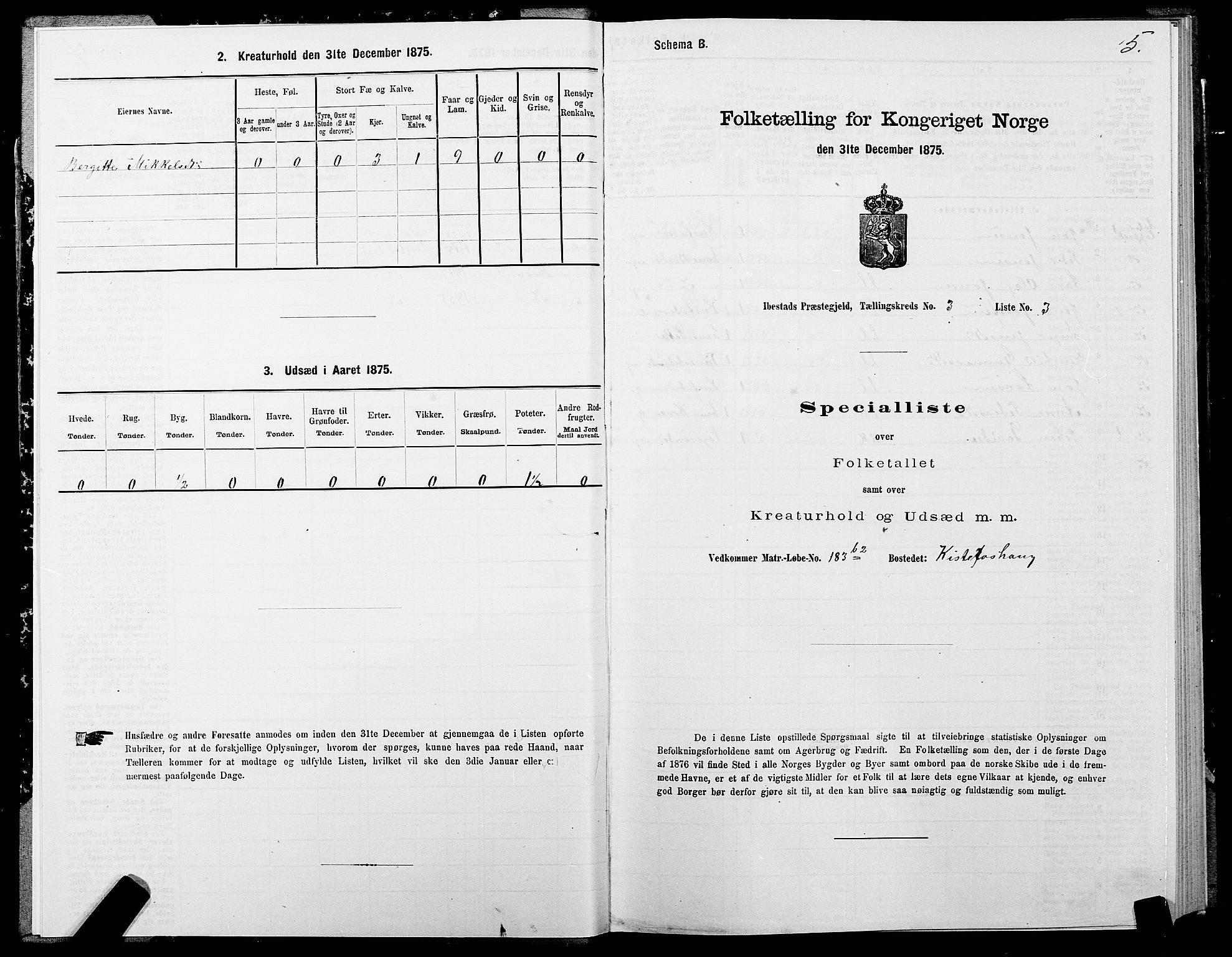 SATØ, Folketelling 1875 for 1917P Ibestad prestegjeld, 1875, s. 2005