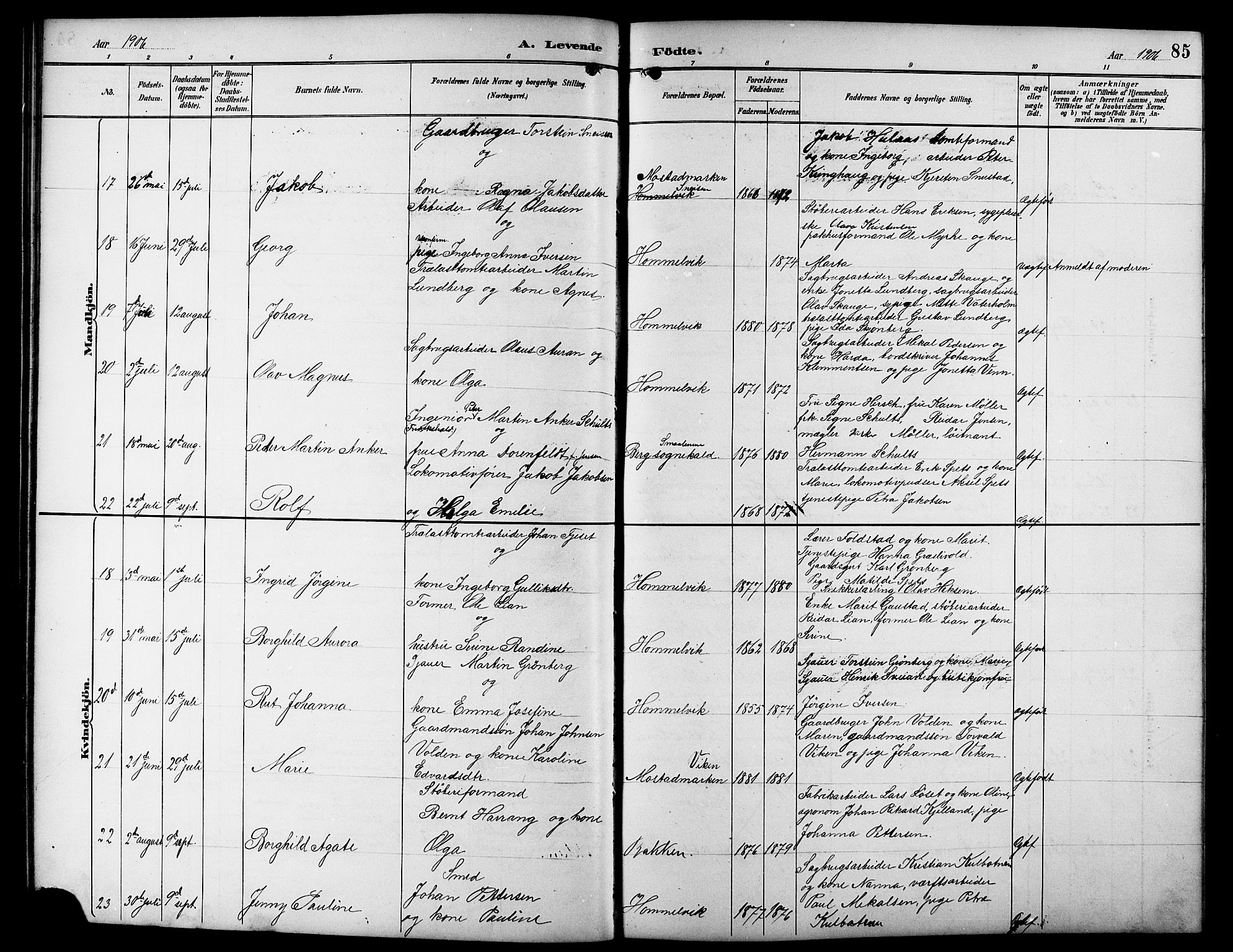 Ministerialprotokoller, klokkerbøker og fødselsregistre - Sør-Trøndelag, AV/SAT-A-1456/617/L0431: Klokkerbok nr. 617C01, 1889-1910, s. 85