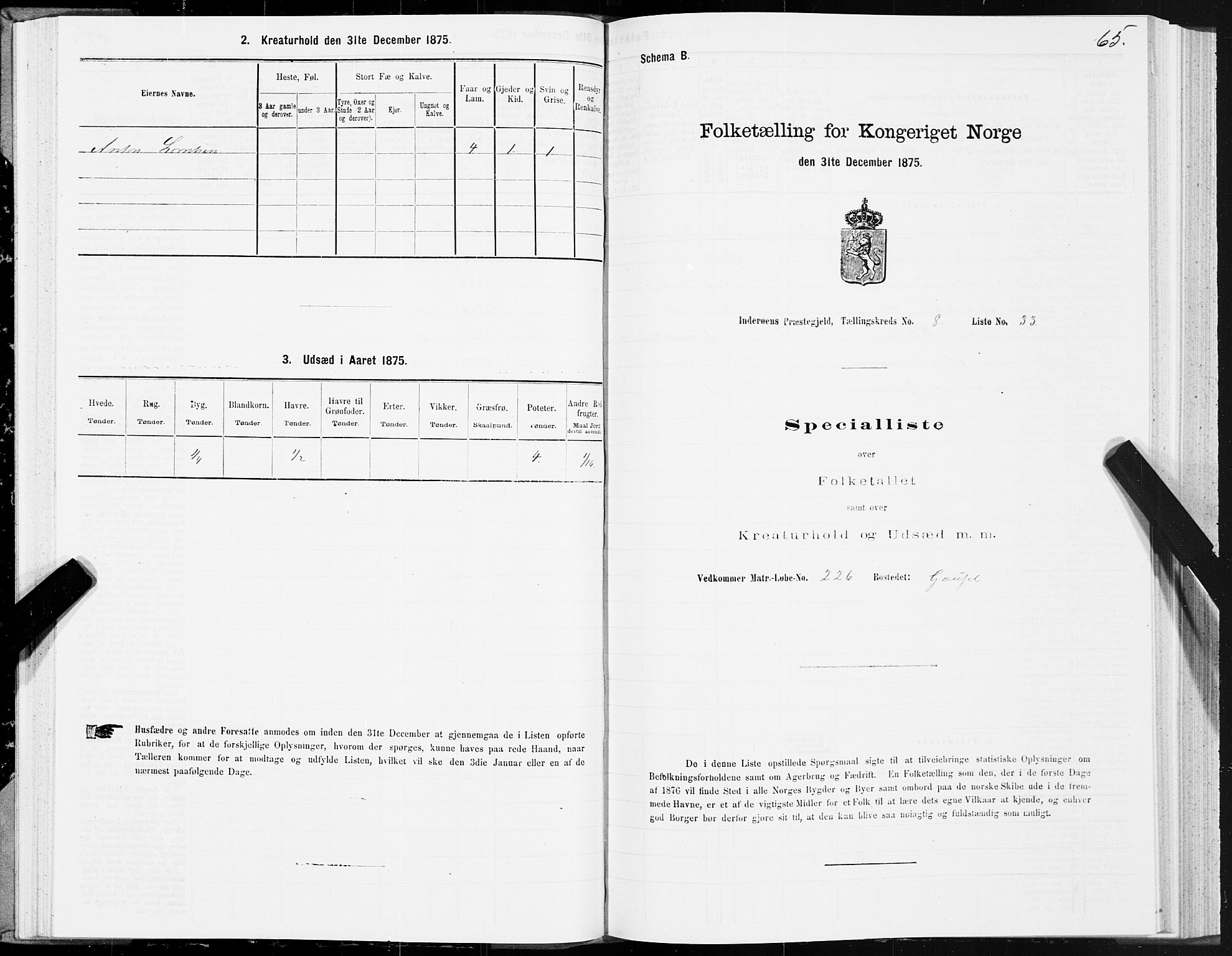 SAT, Folketelling 1875 for 1729P Inderøy prestegjeld, 1875, s. 5065