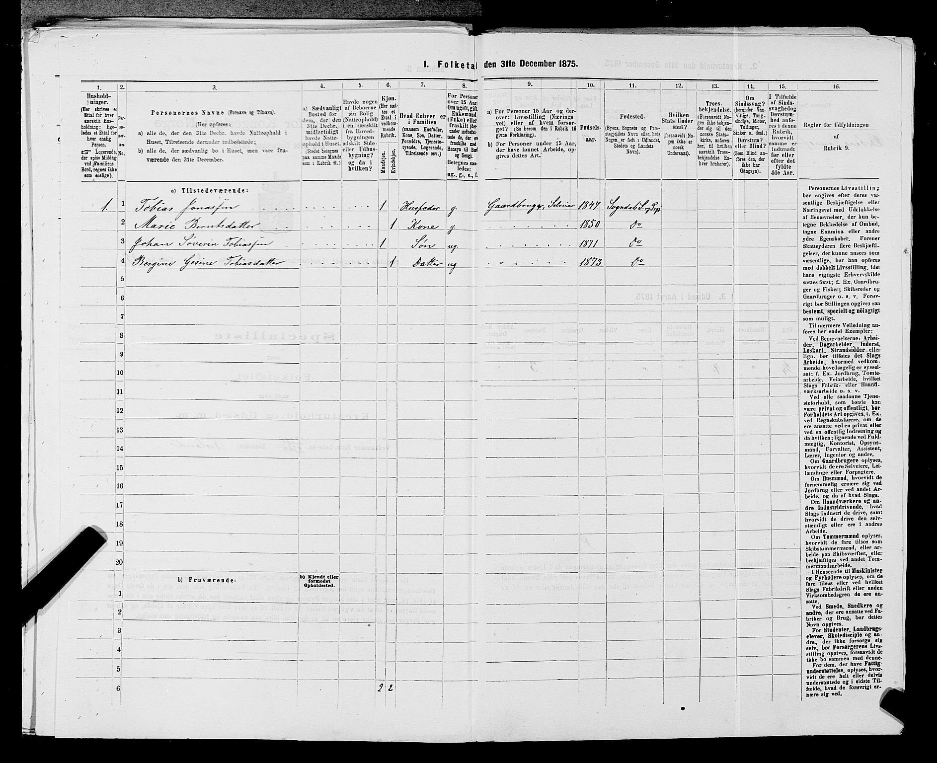 SAST, Folketelling 1875 for 1111L Sokndal prestegjeld, Sokndal landsokn, 1875, s. 417