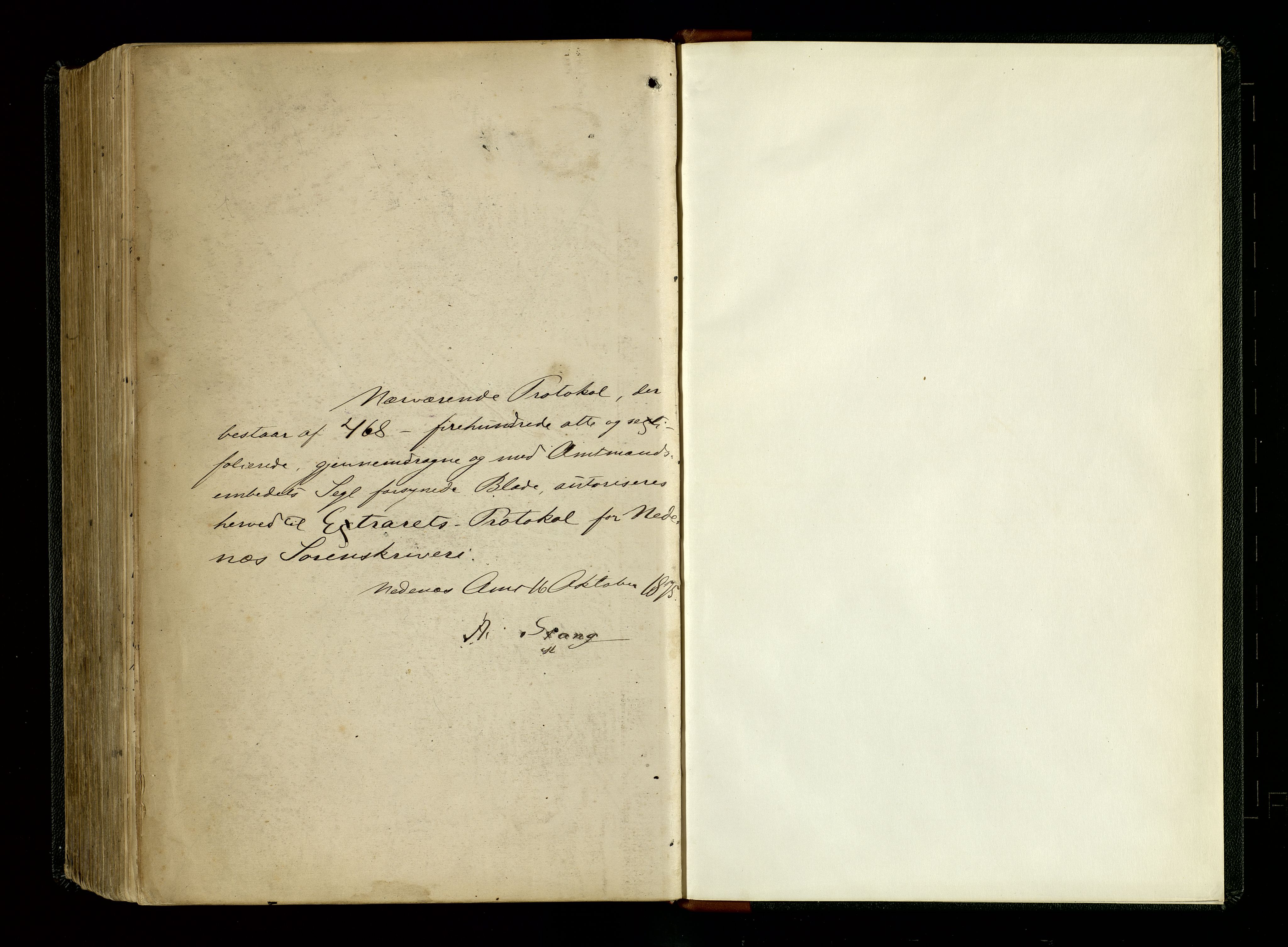 Nedenes sorenskriveri, SAK/1221-0006/F/Fb/L0003: Ekstrarettsprotokoll nr 3, 1875-1887
