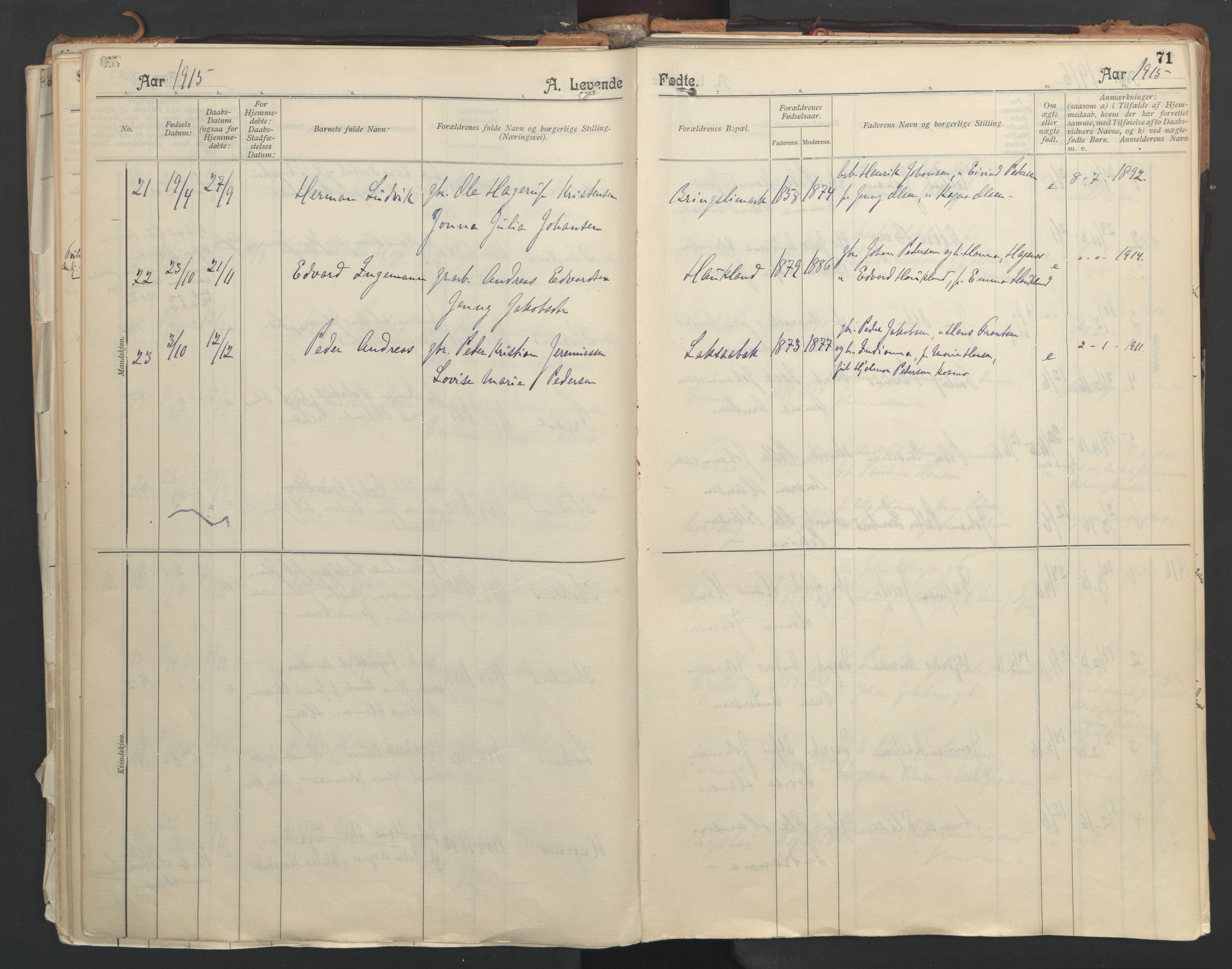 Ministerialprotokoller, klokkerbøker og fødselsregistre - Nordland, AV/SAT-A-1459/851/L0724: Ministerialbok nr. 851A01, 1901-1922, s. 71