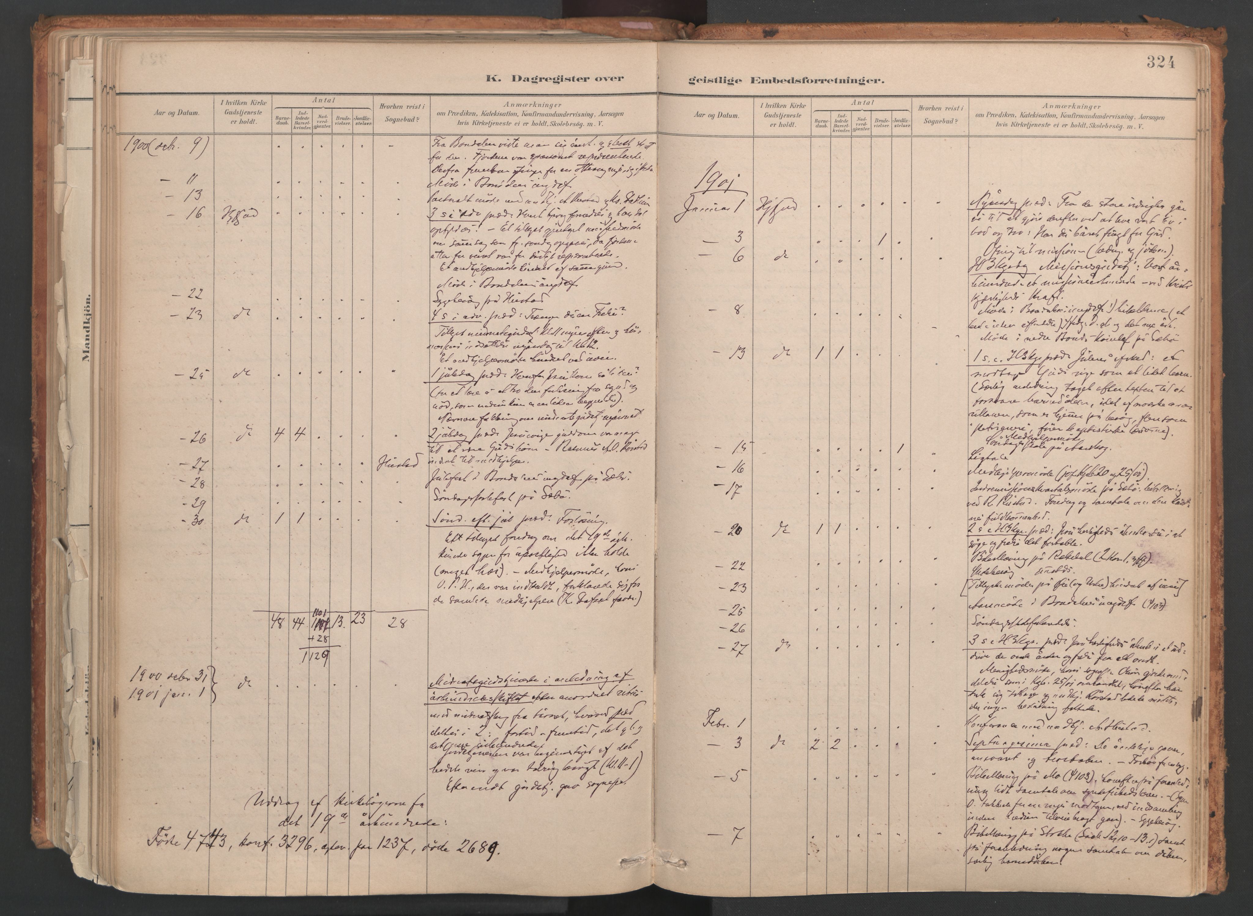 Ministerialprotokoller, klokkerbøker og fødselsregistre - Møre og Romsdal, AV/SAT-A-1454/515/L0211: Ministerialbok nr. 515A07, 1886-1910, s. 324