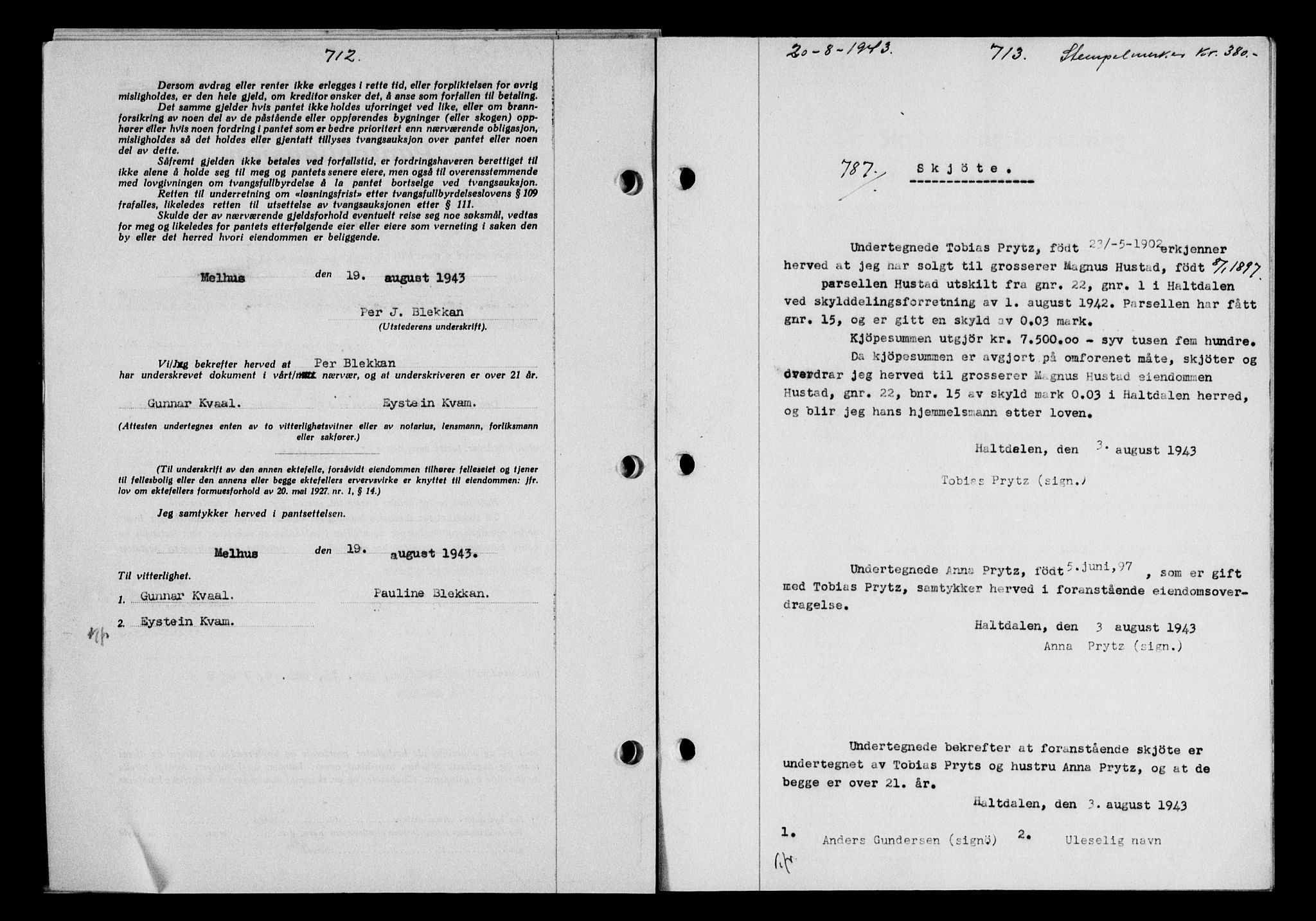 Gauldal sorenskriveri, SAT/A-0014/1/2/2C/L0056: Pantebok nr. 61, 1942-1943, Dagboknr: 787/1943