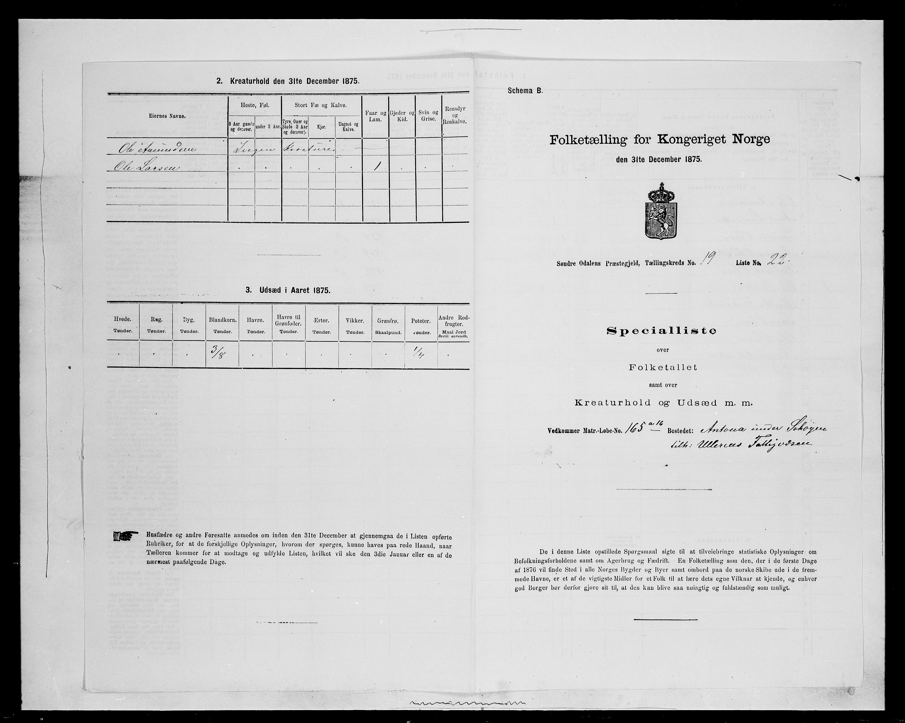 SAH, Folketelling 1875 for 0419P Sør-Odal prestegjeld, 1875, s. 1608