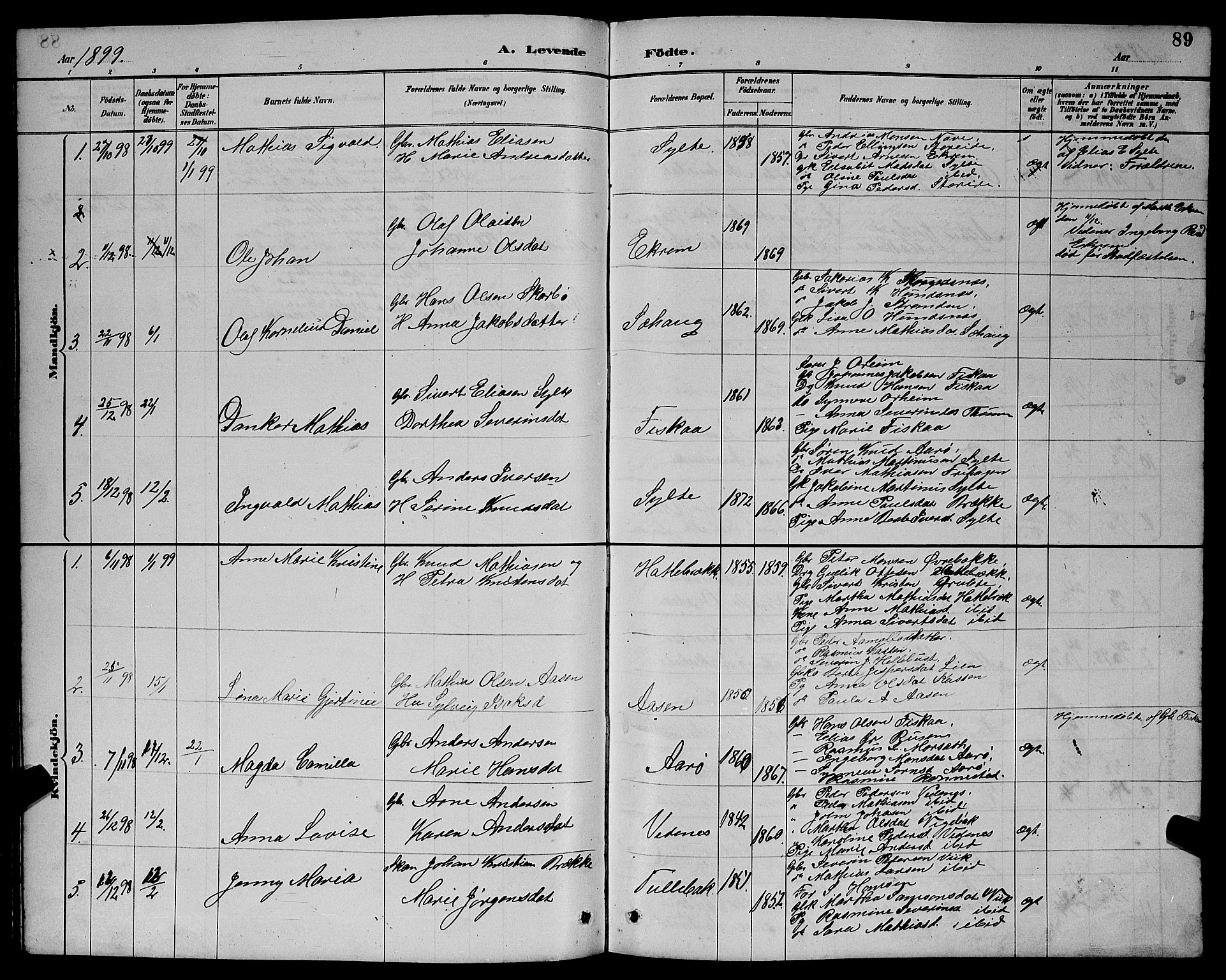 Ministerialprotokoller, klokkerbøker og fødselsregistre - Møre og Romsdal, SAT/A-1454/501/L0017: Klokkerbok nr. 501C03, 1885-1901, s. 89