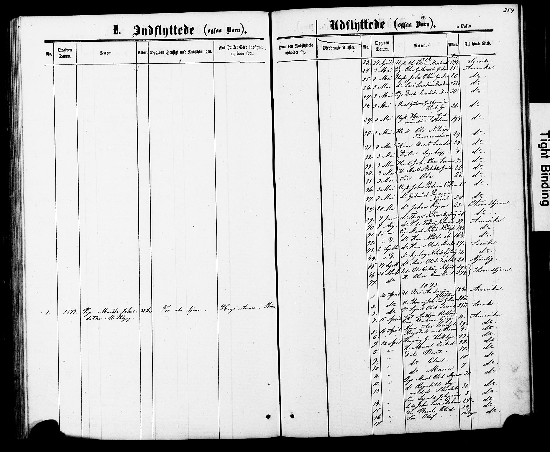 Ministerialprotokoller, klokkerbøker og fødselsregistre - Nord-Trøndelag, SAT/A-1458/706/L0049: Klokkerbok nr. 706C01, 1864-1895, s. 254