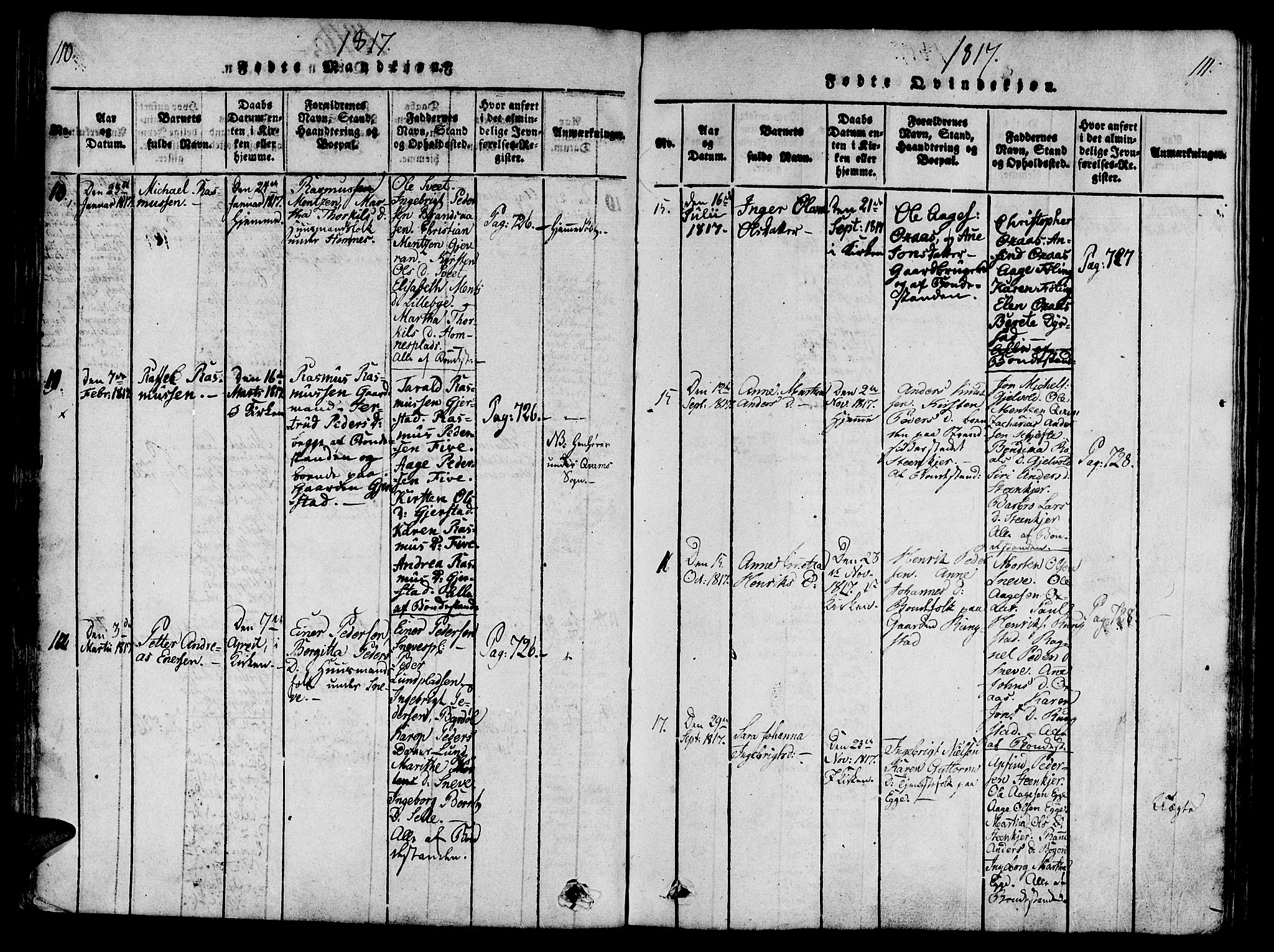 Ministerialprotokoller, klokkerbøker og fødselsregistre - Nord-Trøndelag, SAT/A-1458/746/L0441: Ministerialbok nr. 746A03 /3, 1816-1827, s. 110-111