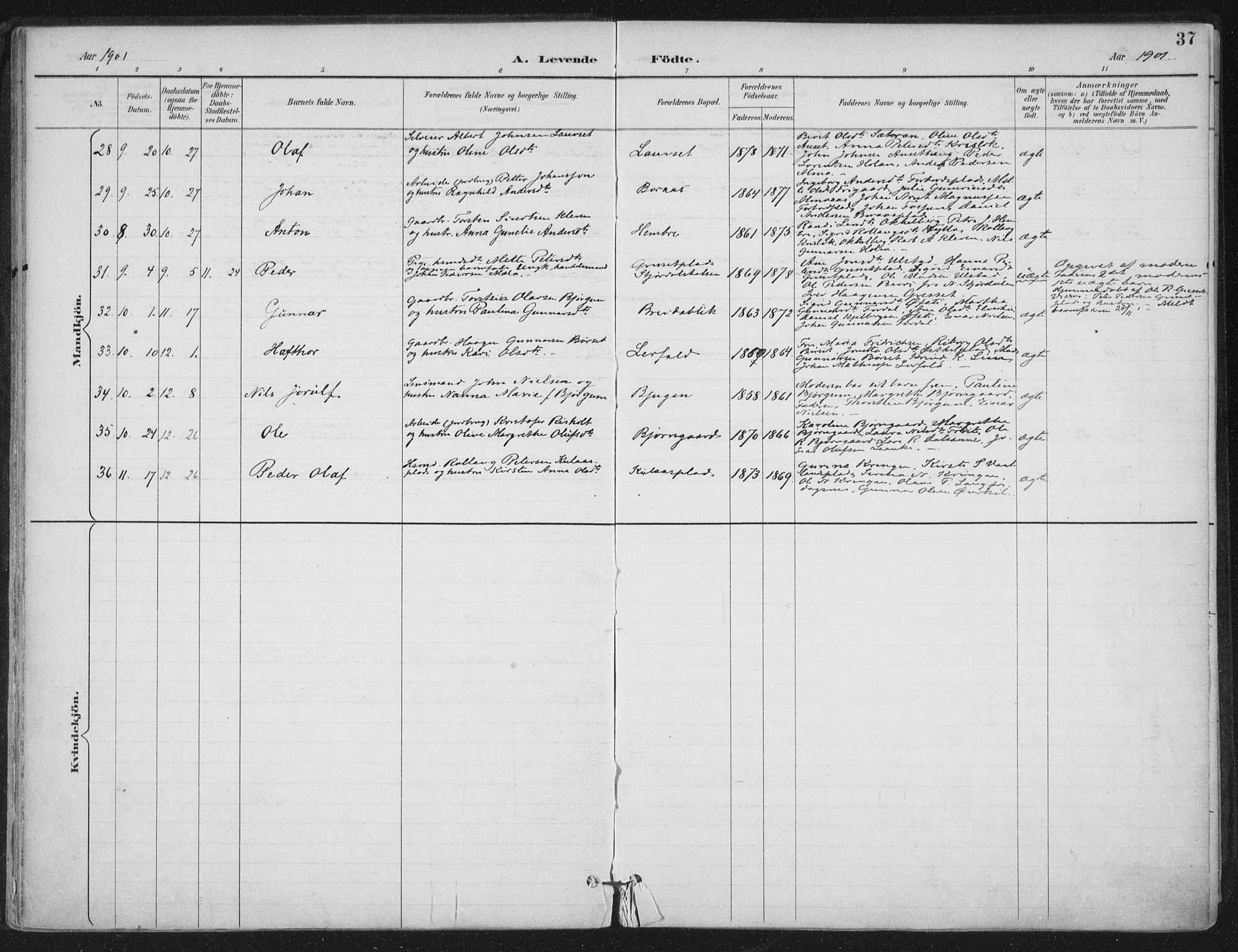 Ministerialprotokoller, klokkerbøker og fødselsregistre - Nord-Trøndelag, SAT/A-1458/703/L0031: Ministerialbok nr. 703A04, 1893-1914, s. 37