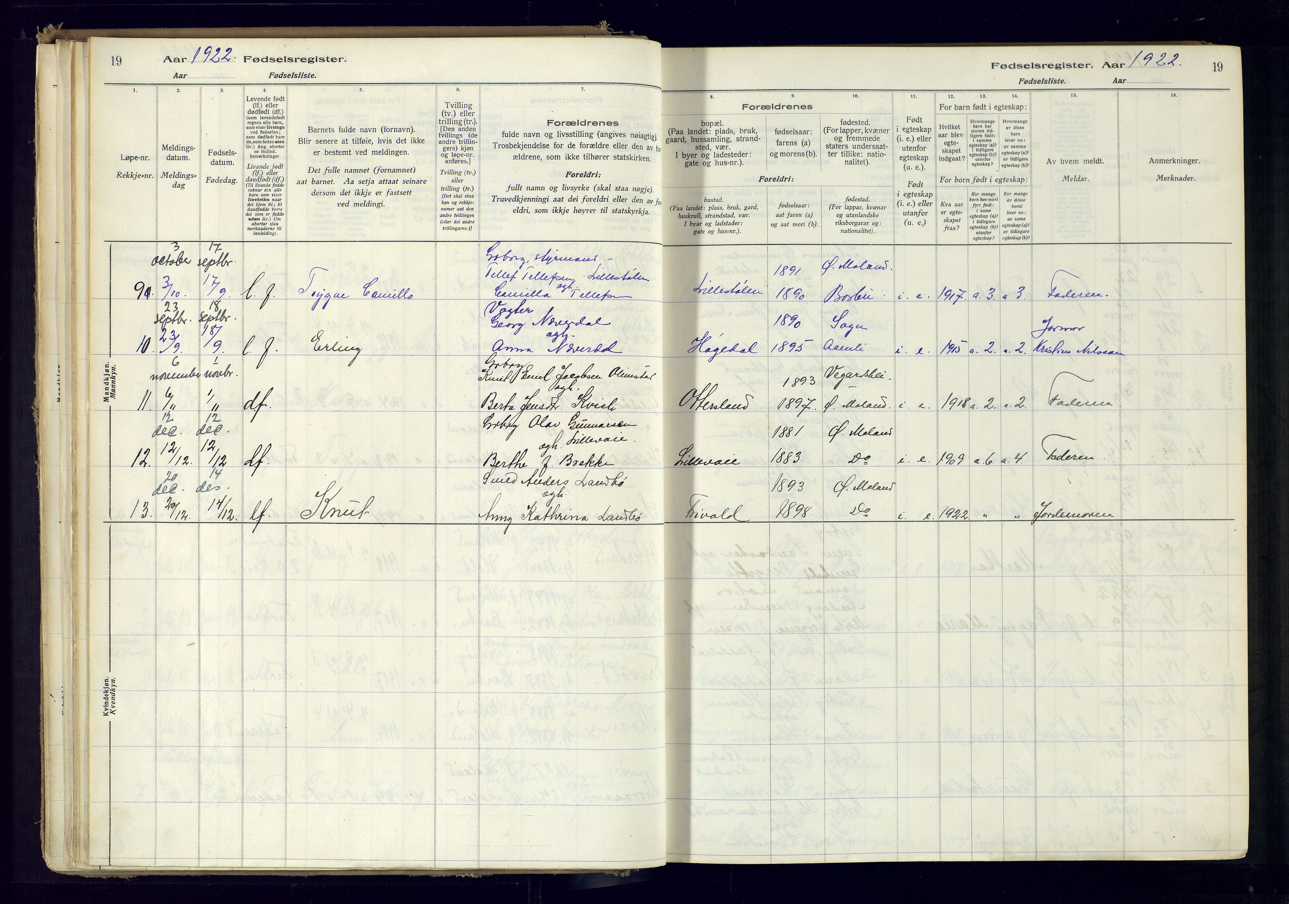 Austre Moland sokneprestkontor, AV/SAK-1111-0001/J/Ja/L0001: Fødselsregister nr. A-VI-25, 1916-1975, s. 19