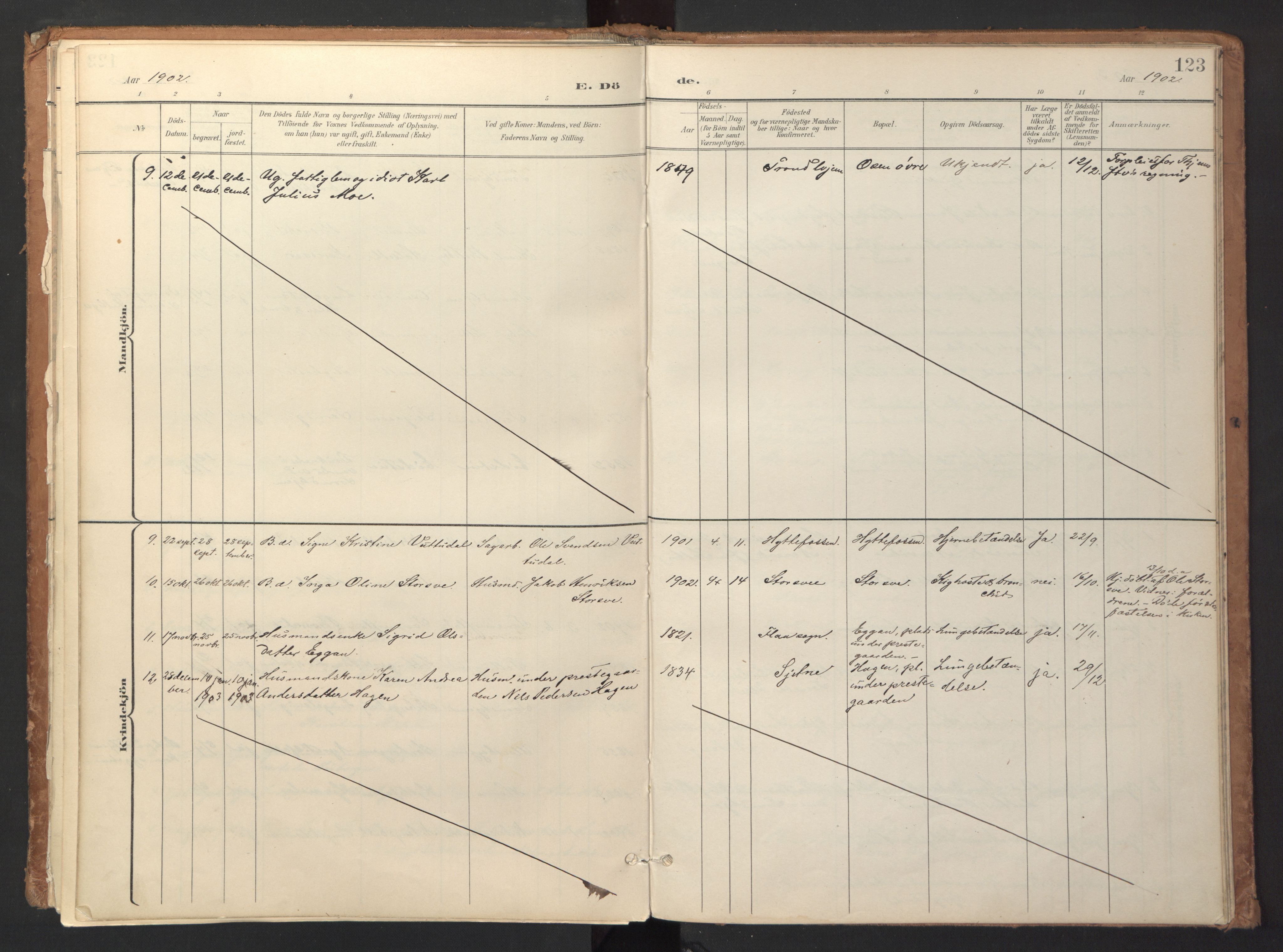 Ministerialprotokoller, klokkerbøker og fødselsregistre - Sør-Trøndelag, SAT/A-1456/618/L0448: Ministerialbok nr. 618A11, 1898-1916, s. 123