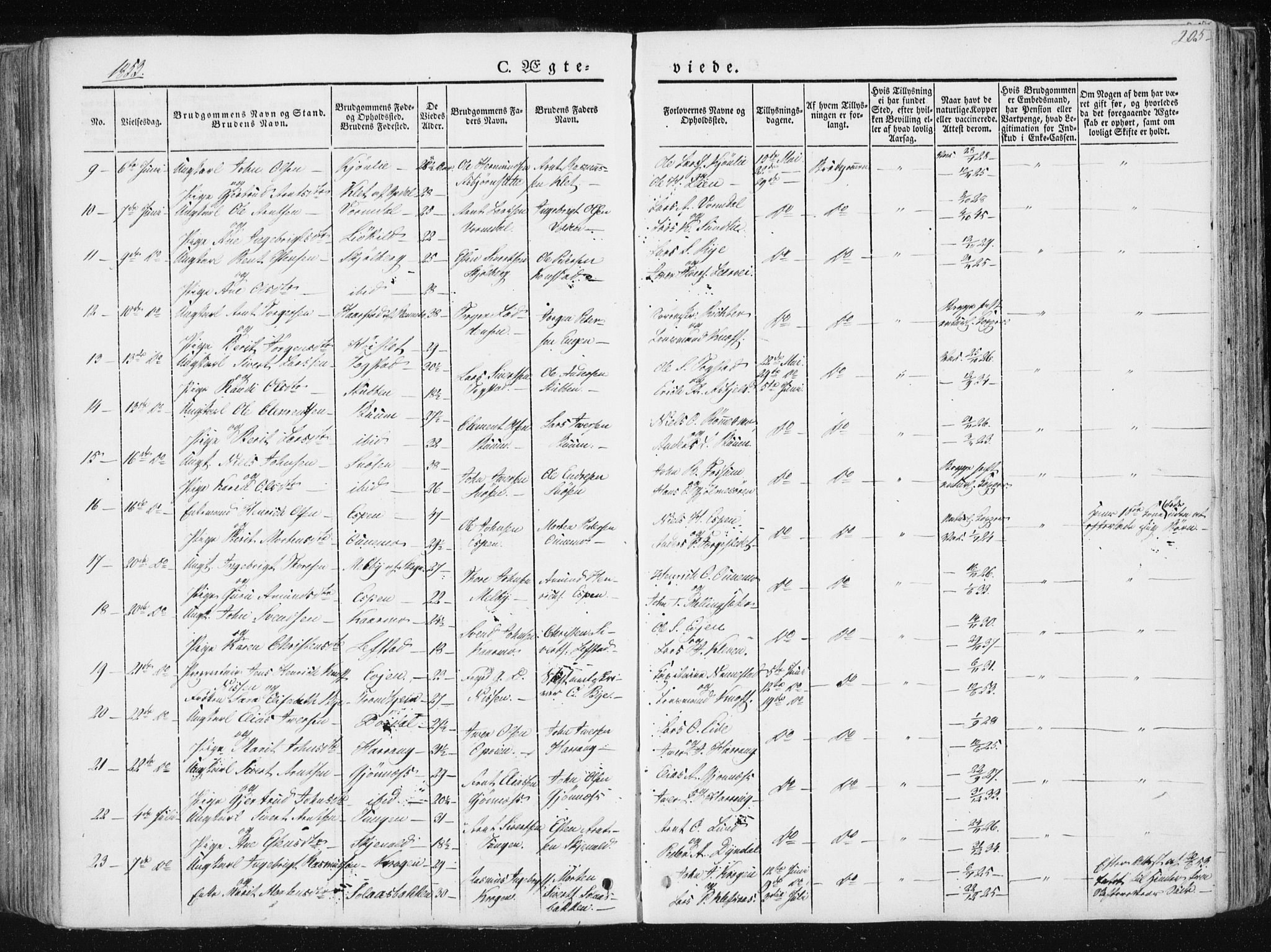 Ministerialprotokoller, klokkerbøker og fødselsregistre - Sør-Trøndelag, AV/SAT-A-1456/668/L0805: Ministerialbok nr. 668A05, 1840-1853, s. 205