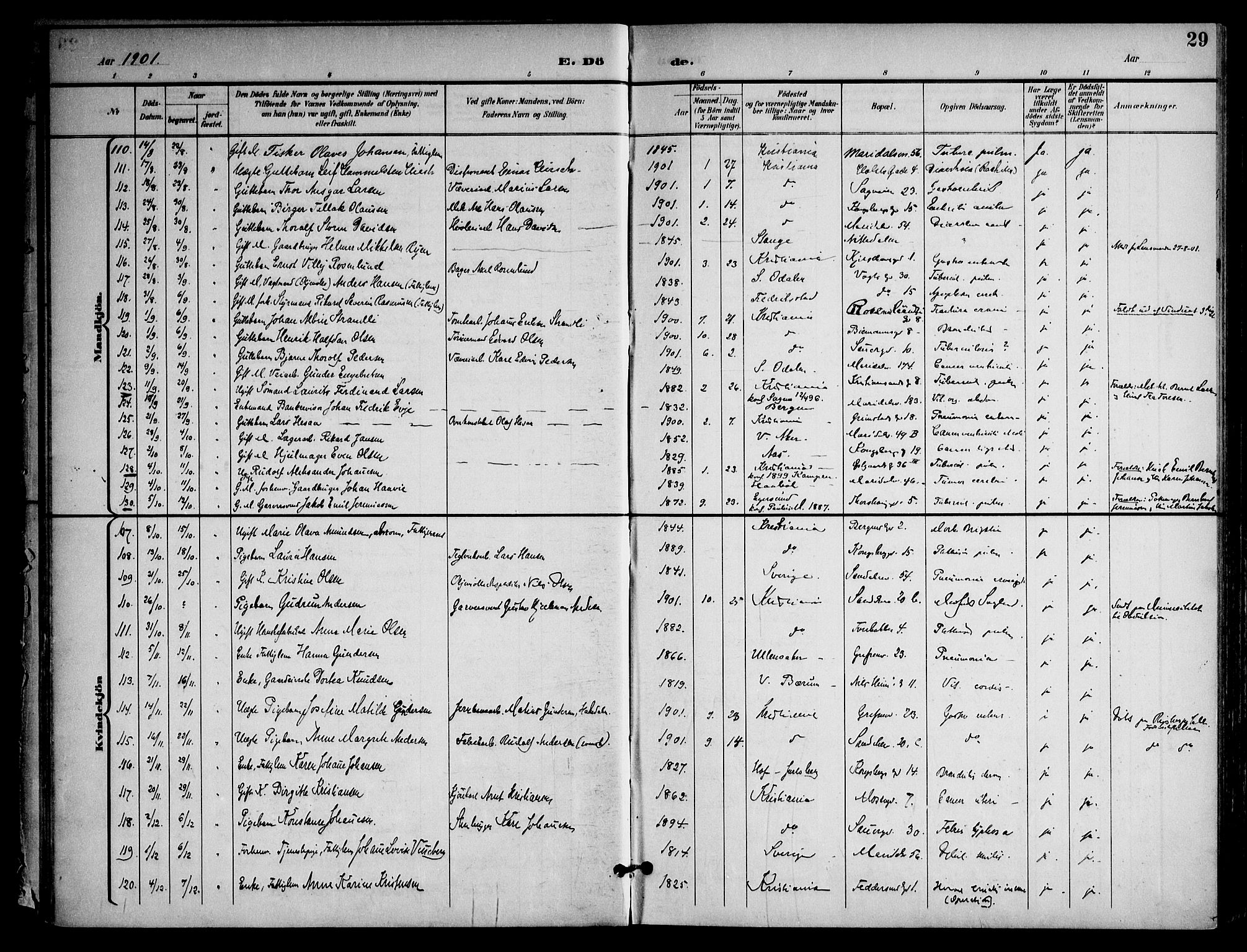 Sagene prestekontor Kirkebøker, SAO/A-10796/F/L0006: Ministerialbok nr. 6, 1898-1923, s. 29