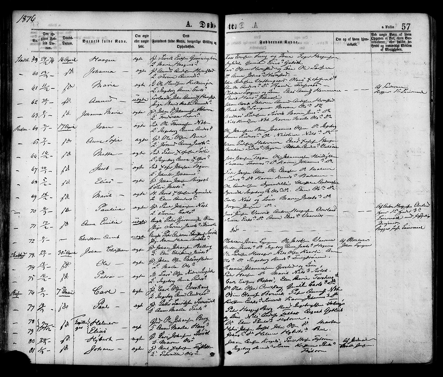 Ministerialprotokoller, klokkerbøker og fødselsregistre - Sør-Trøndelag, SAT/A-1456/646/L0613: Ministerialbok nr. 646A11, 1870-1884, s. 57