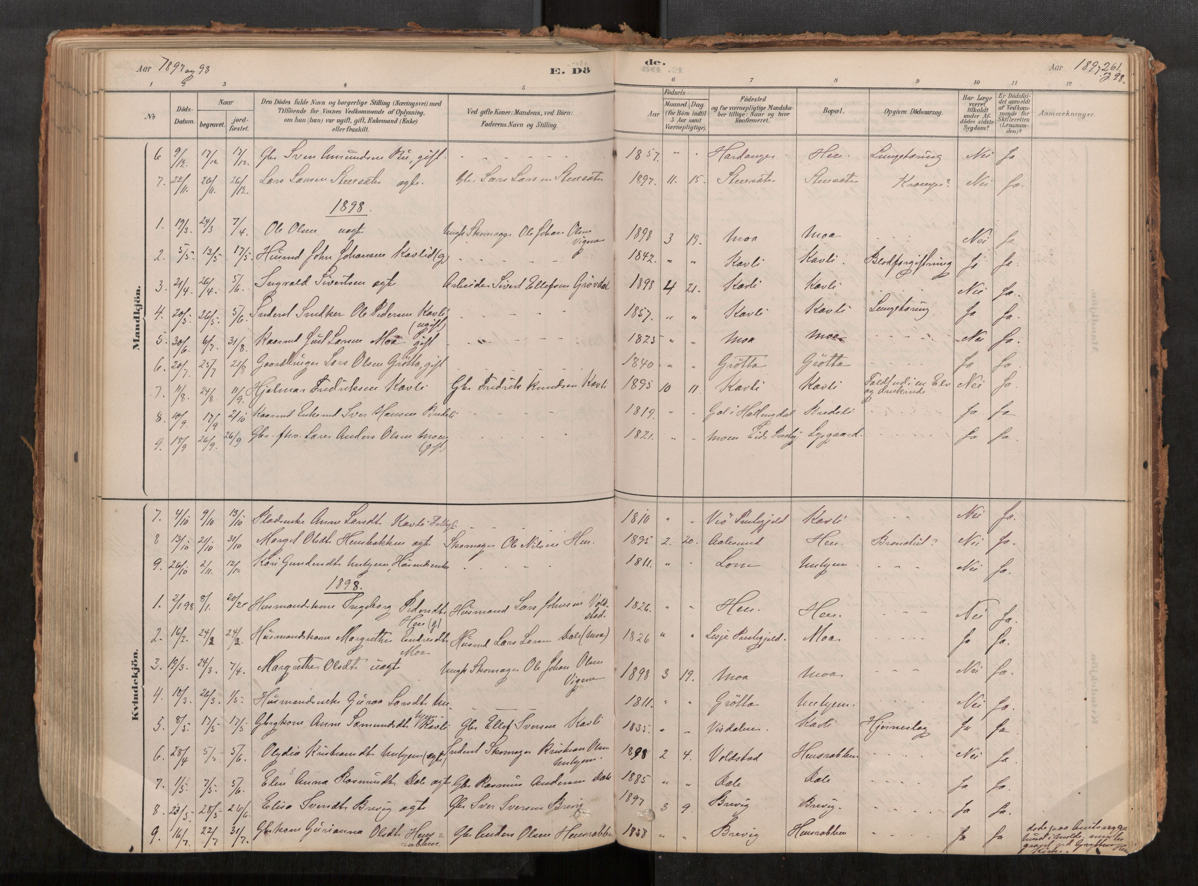 Ministerialprotokoller, klokkerbøker og fødselsregistre - Møre og Romsdal, SAT/A-1454/545/L0594: Ministerialbok nr. 545A03, 1878-1920, s. 261