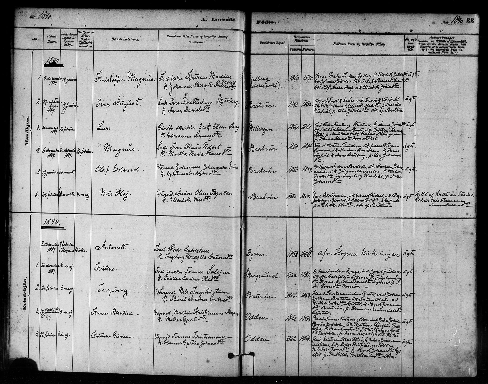 Ministerialprotokoller, klokkerbøker og fødselsregistre - Møre og Romsdal, AV/SAT-A-1454/582/L0947: Ministerialbok nr. 582A01, 1880-1900, s. 33