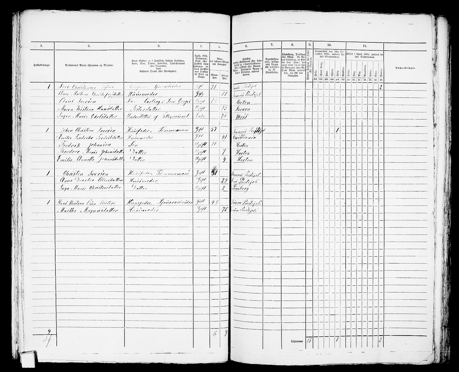 RA, Folketelling 1865 for 0703 Horten ladested, 1865, s. 715