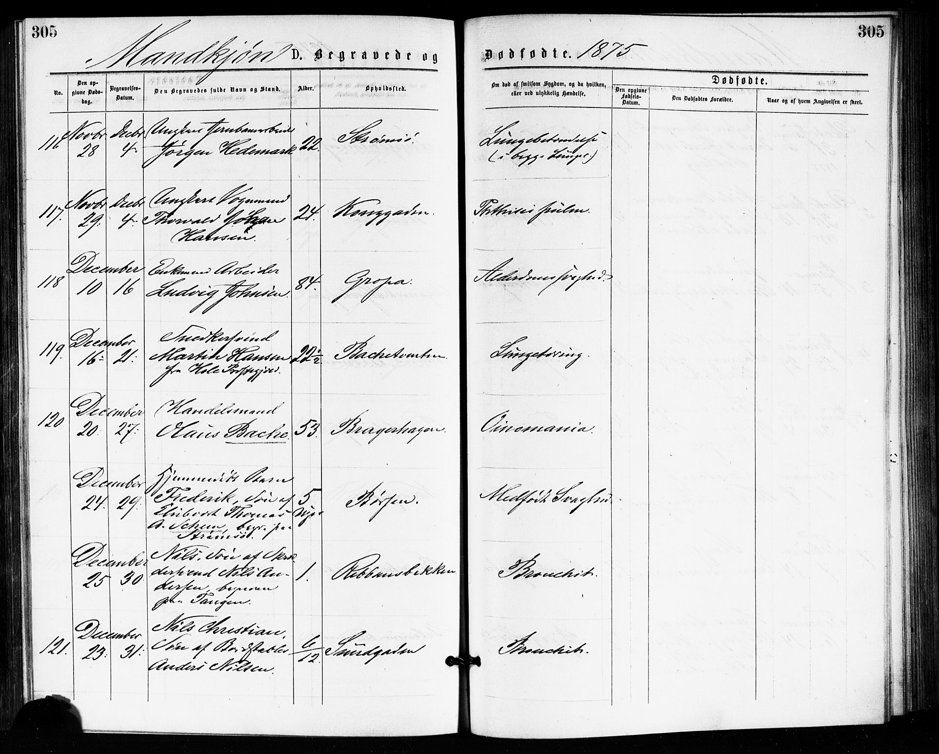 Bragernes kirkebøker, AV/SAKO-A-6/F/Fb/L0005: Ministerialbok nr. II 5, 1875-1877, s. 305