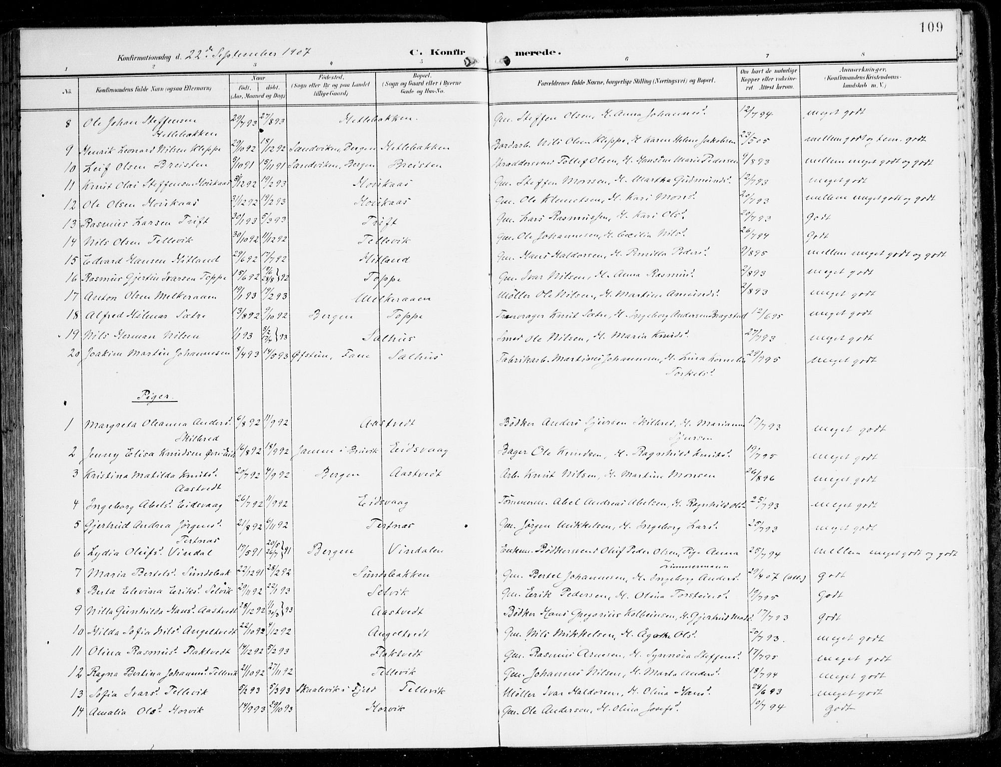 Hamre sokneprestembete, AV/SAB-A-75501/H/Ha/Haa/Haad/L0002: Ministerialbok nr. D 2, 1899-1916, s. 109