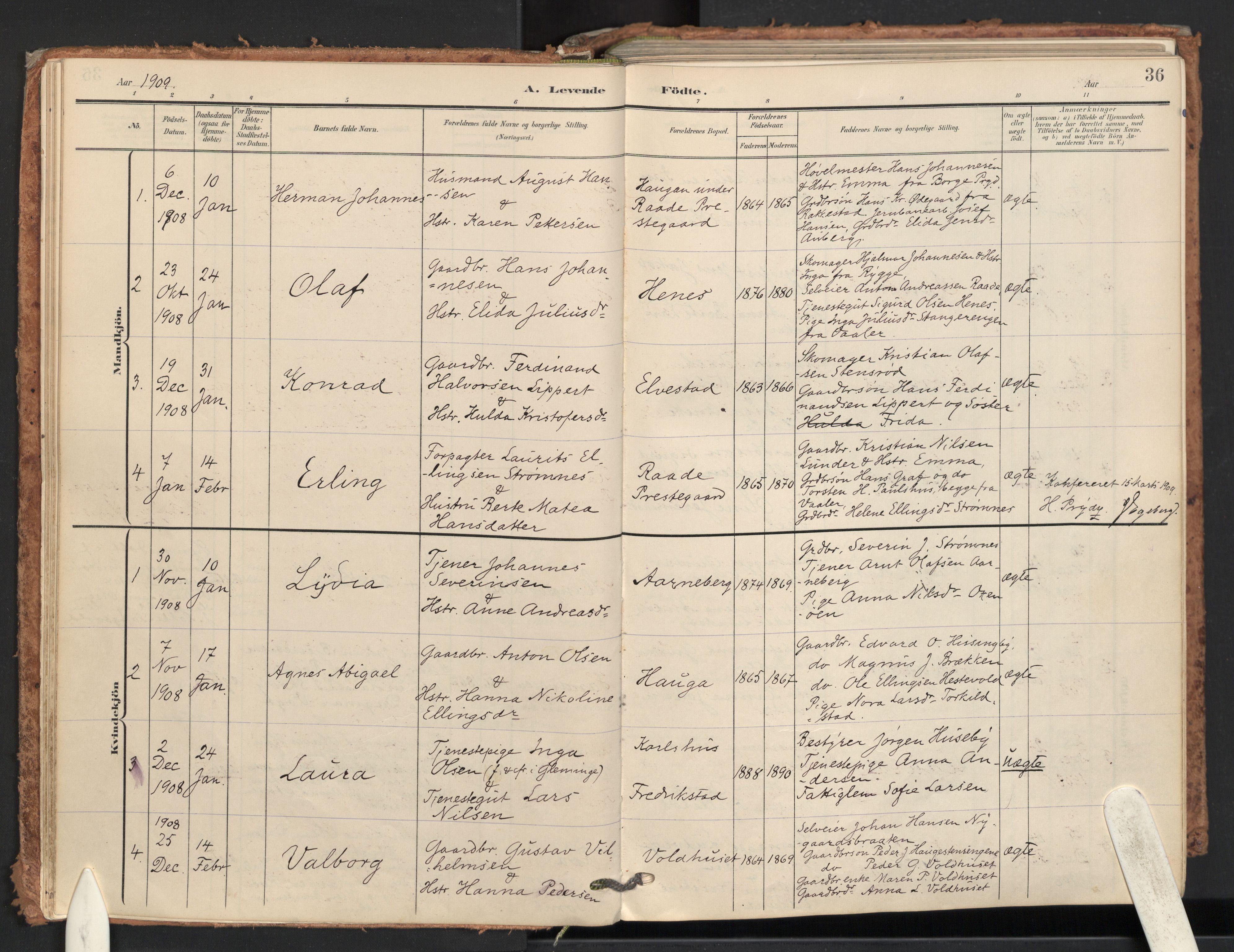 Råde prestekontor kirkebøker, AV/SAO-A-2009/F/Fa/L0008: Ministerialbok nr. 8, 1903-1924, s. 36