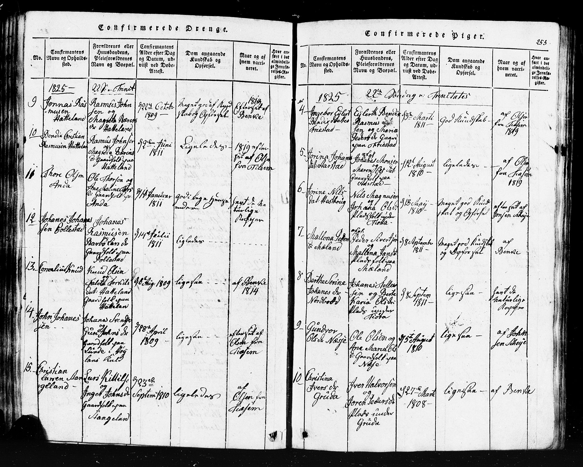 Klepp sokneprestkontor, AV/SAST-A-101803/001/3/30BB/L0001: Klokkerbok nr.  B 1, 1816-1859, s. 253